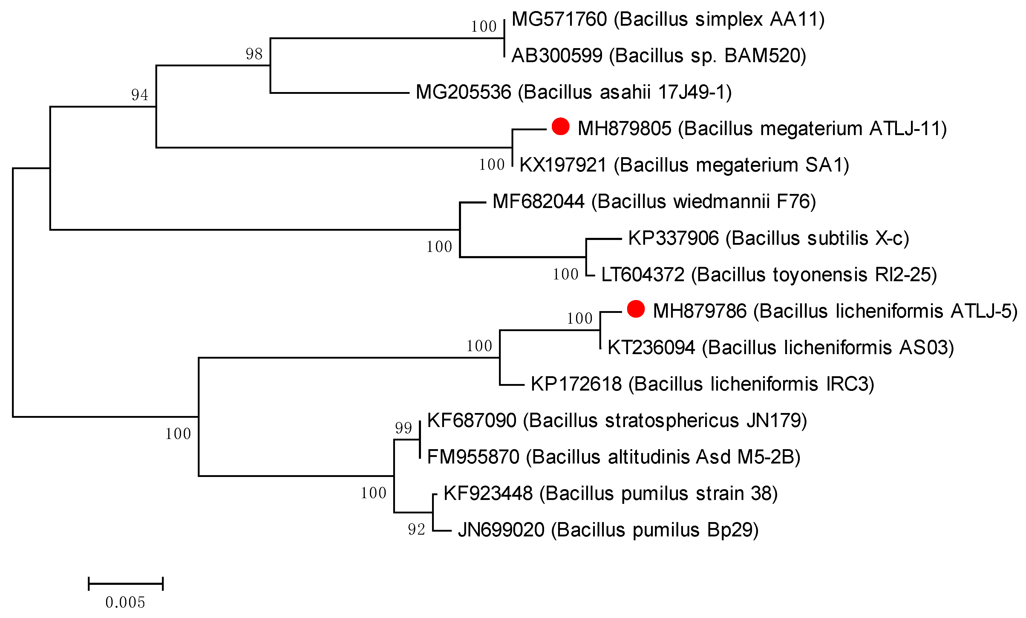 Microorganisms 07 00080 g002