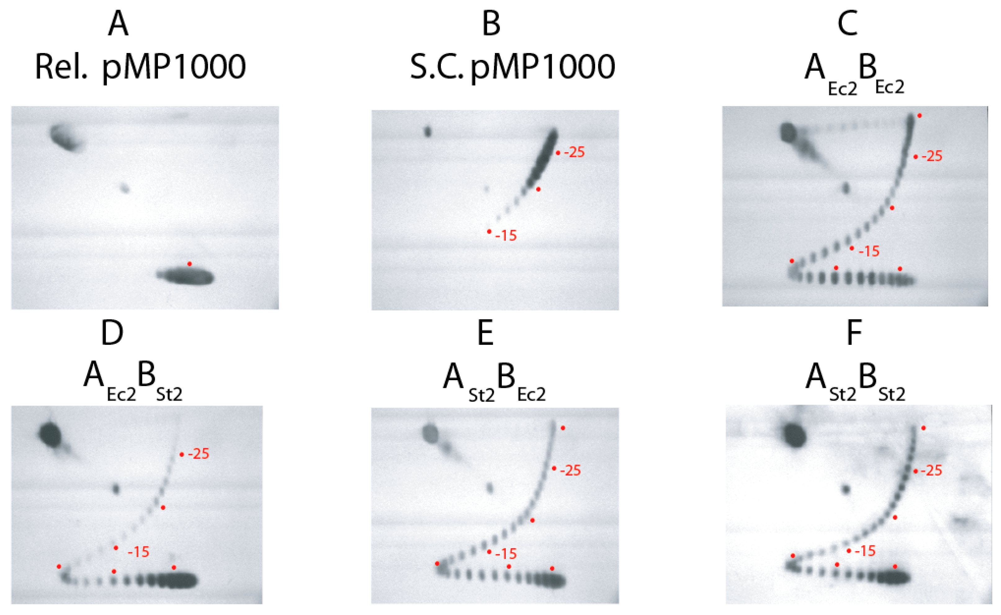Microorganisms 07 00081 g003
