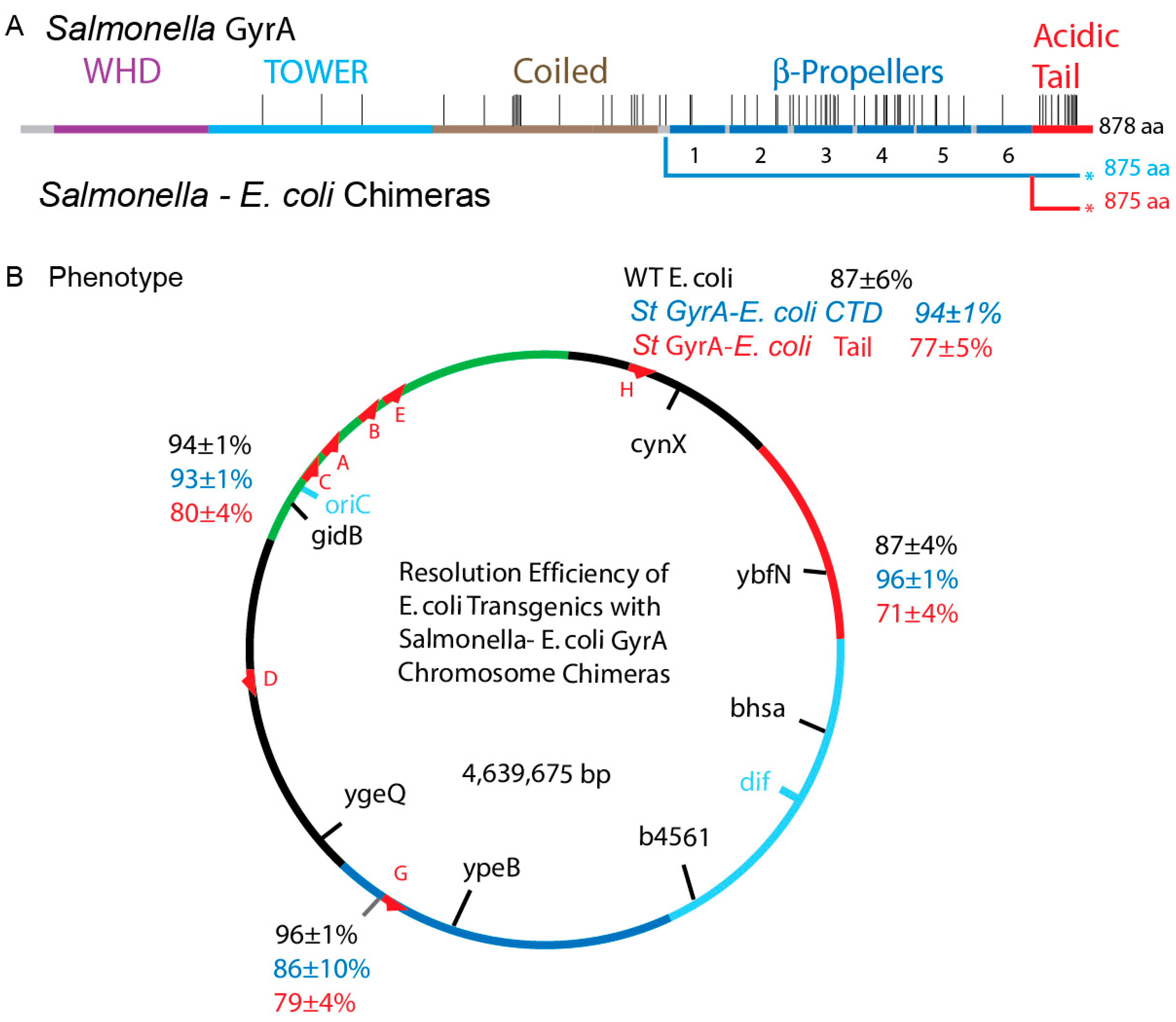 Microorganisms 07 00081 g006