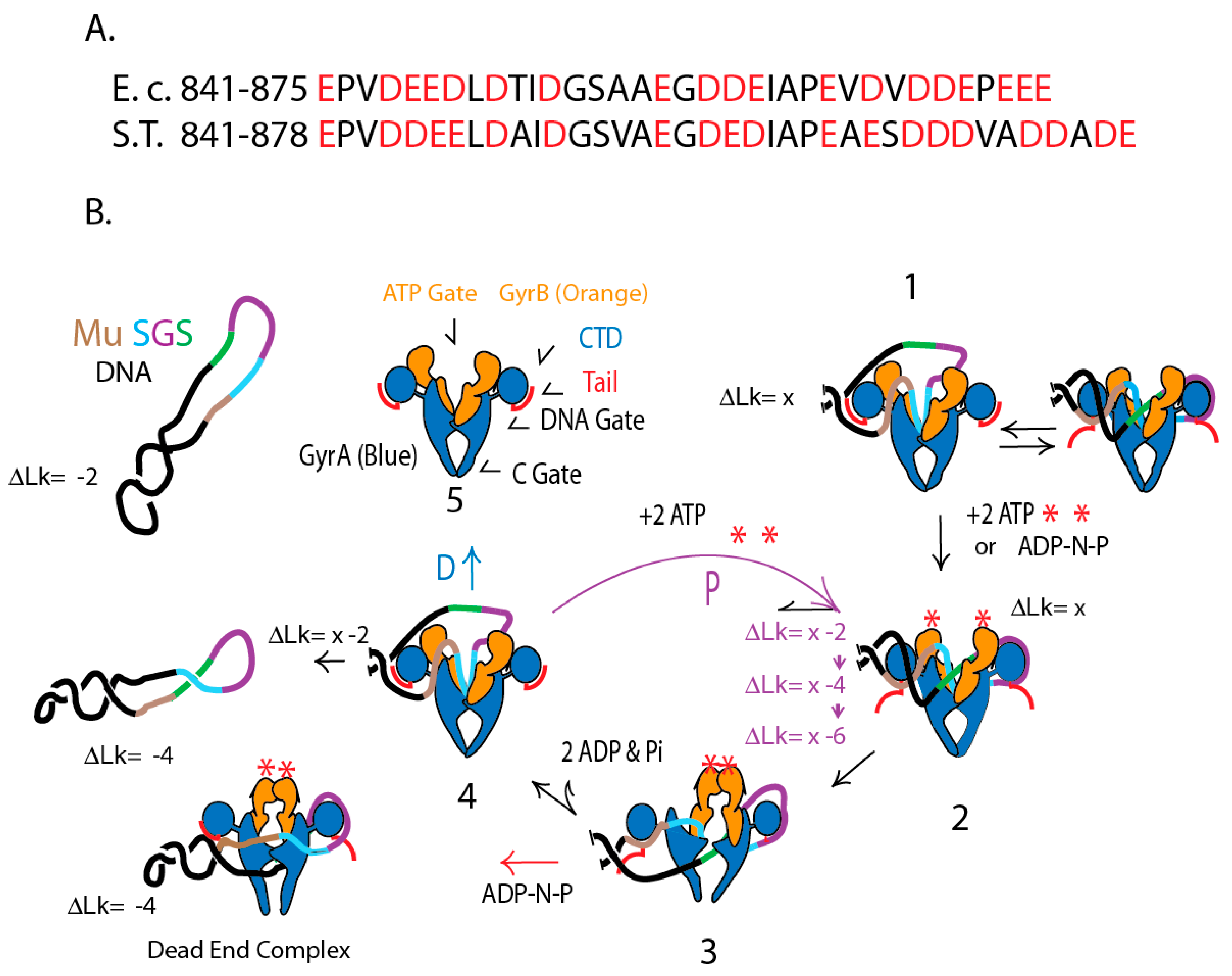 Microorganisms 07 00081 g008