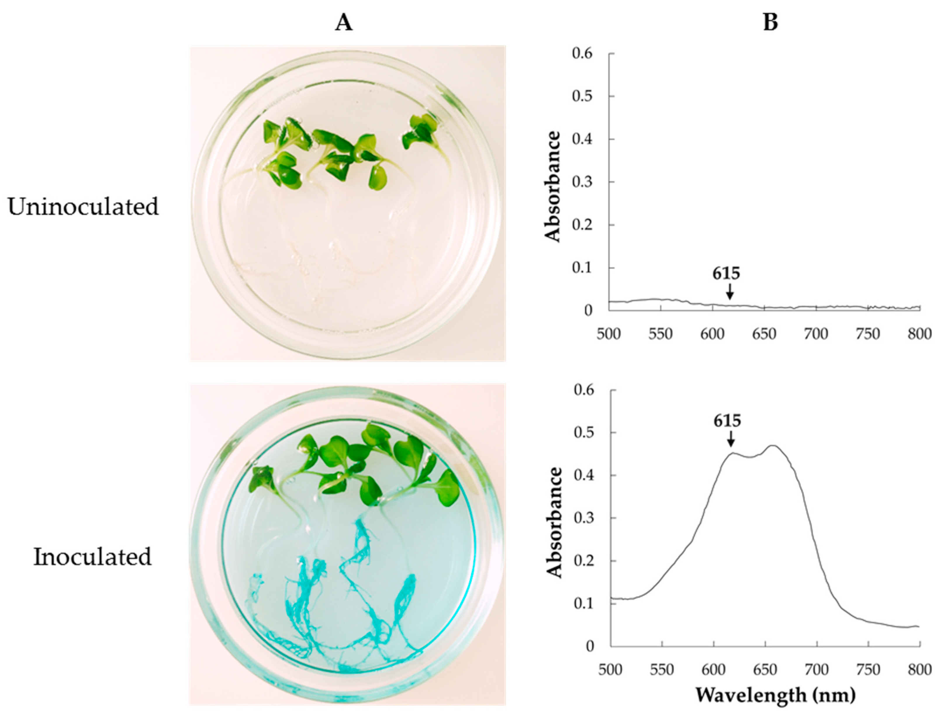 Microorganisms 07 00082 g005 Microorganisms 07 00082 g005