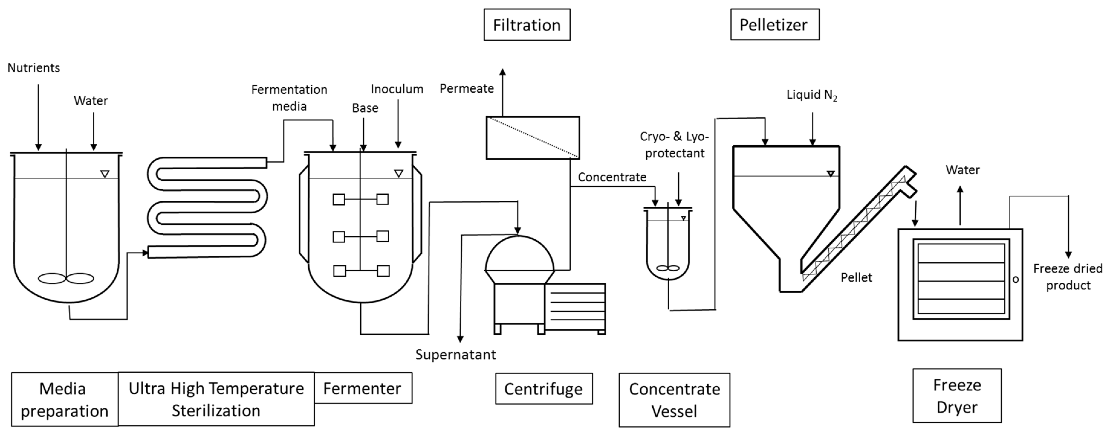 The Contamination Free Production Process Of The