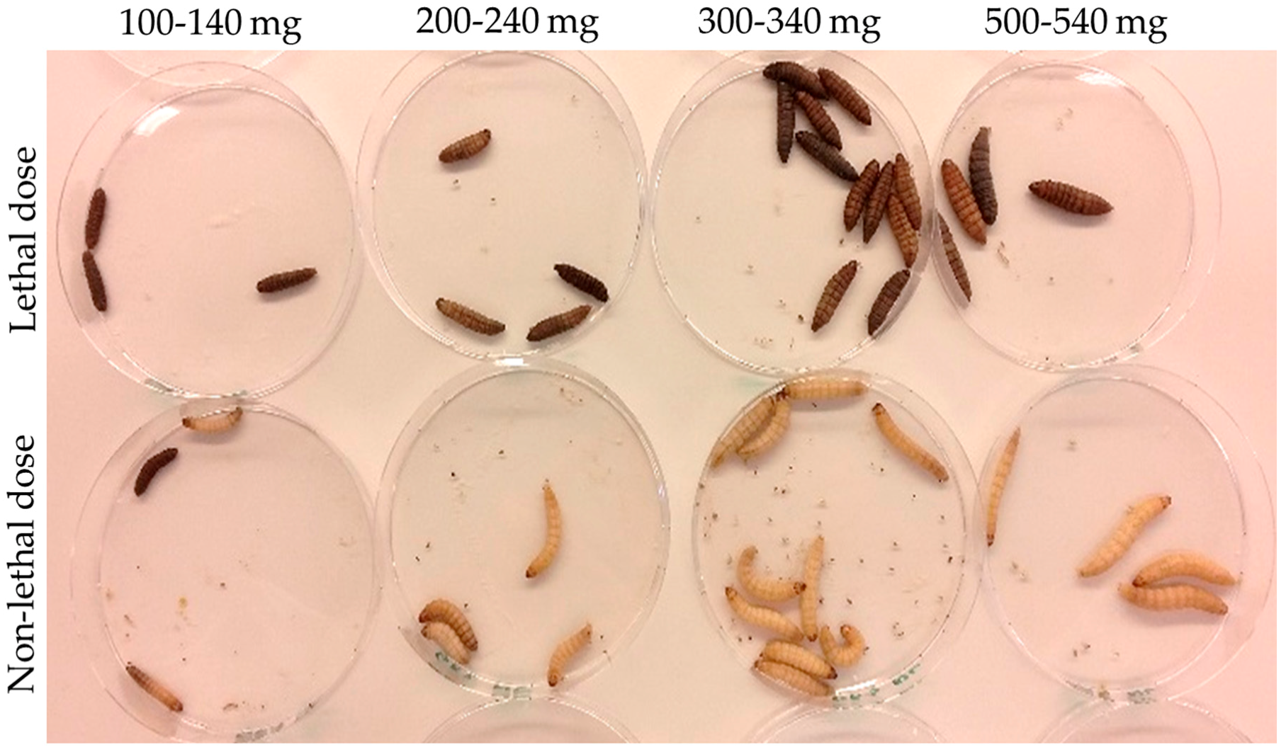 Microorganisms 07 00085 g002