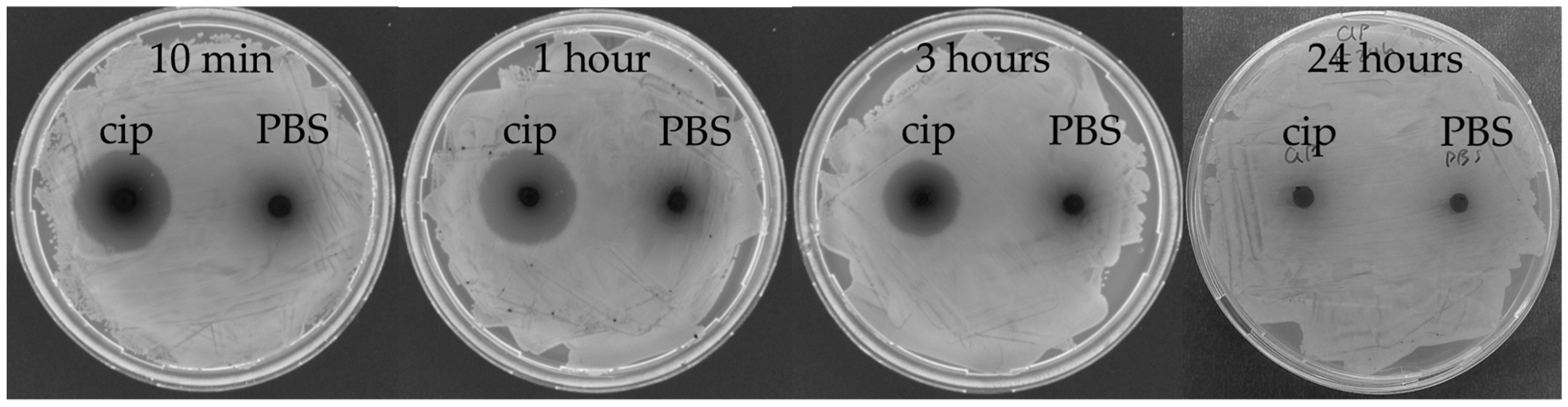 Microorganisms | Free Full-Text | Methods and Challenges of Using the ...