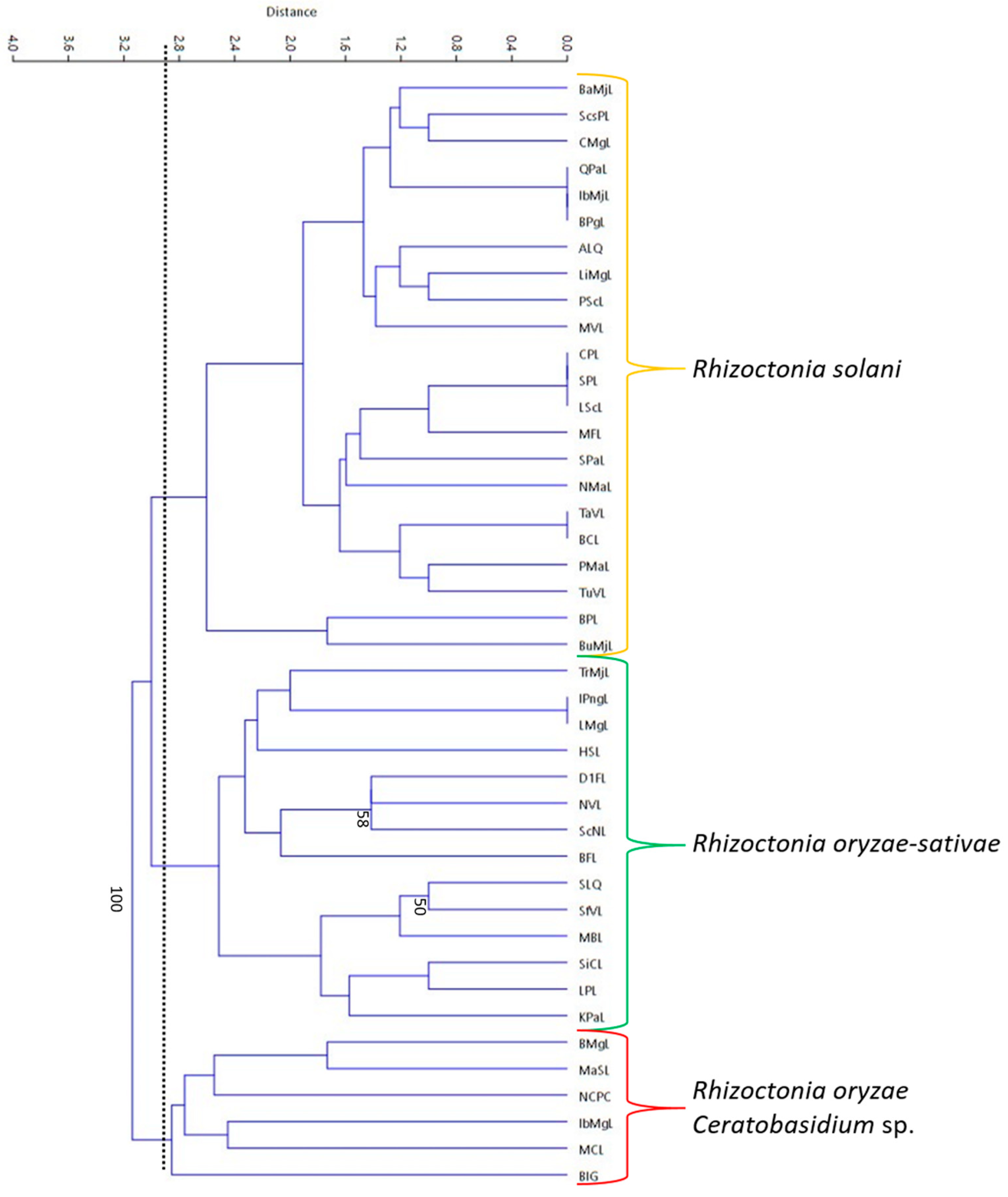 Microorganisms 07 00088 g009
