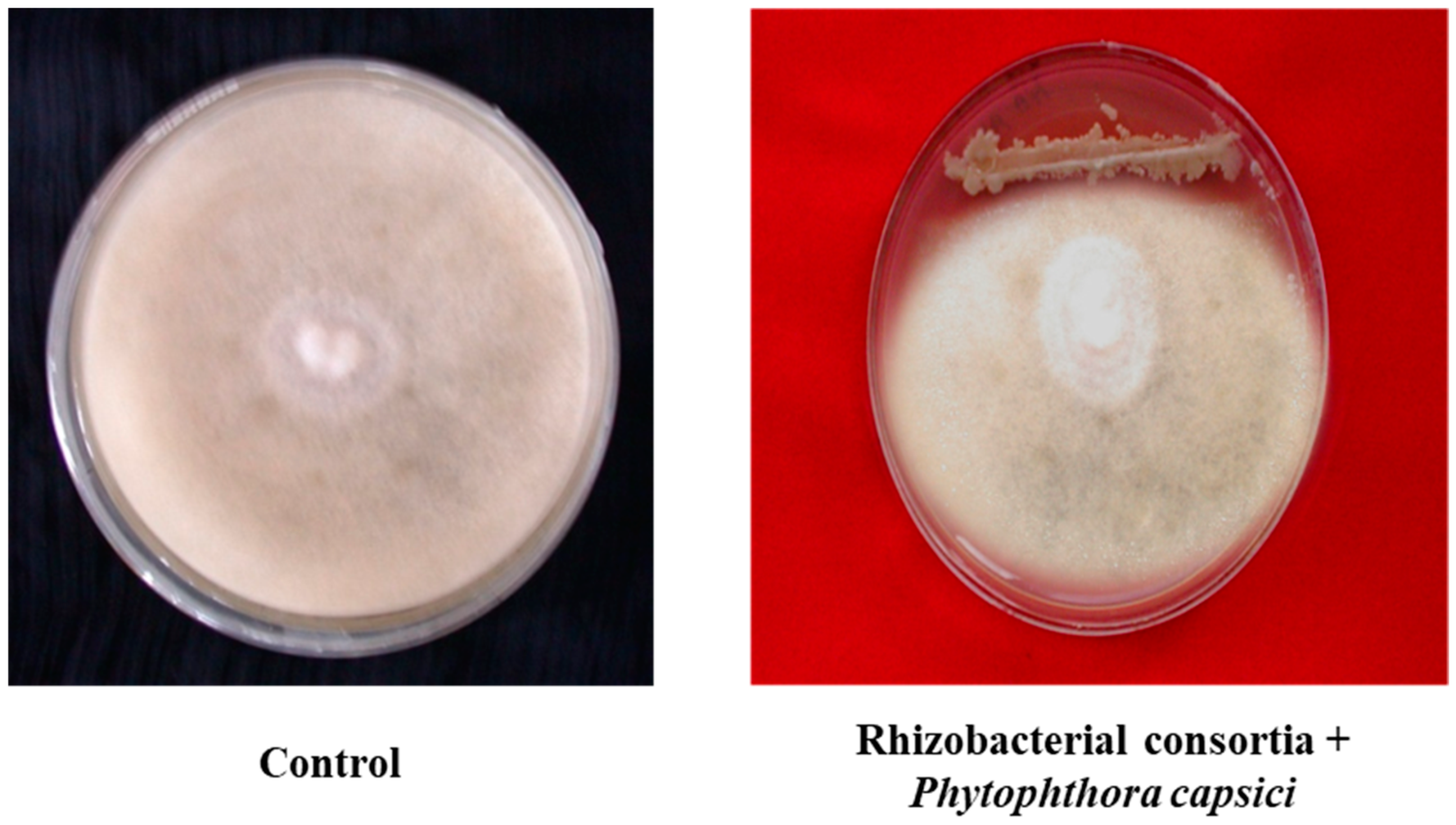 Microorganisms 07 00089 g001a