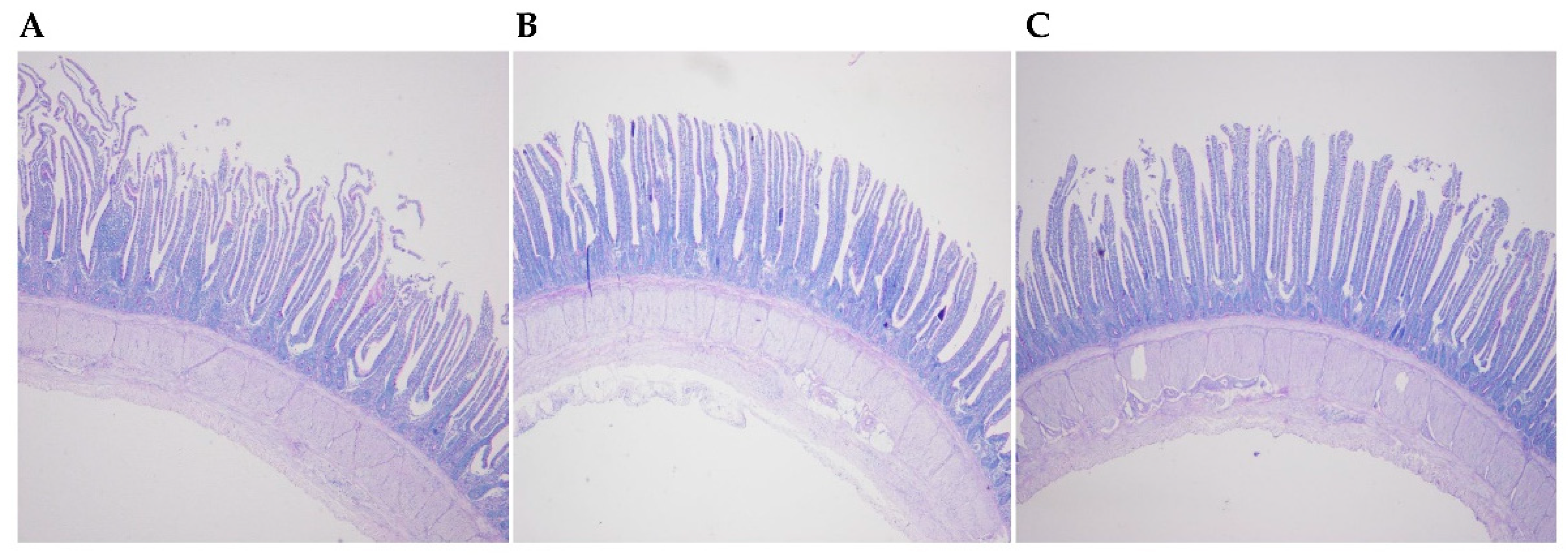 Microorganisms 07 00092 g001