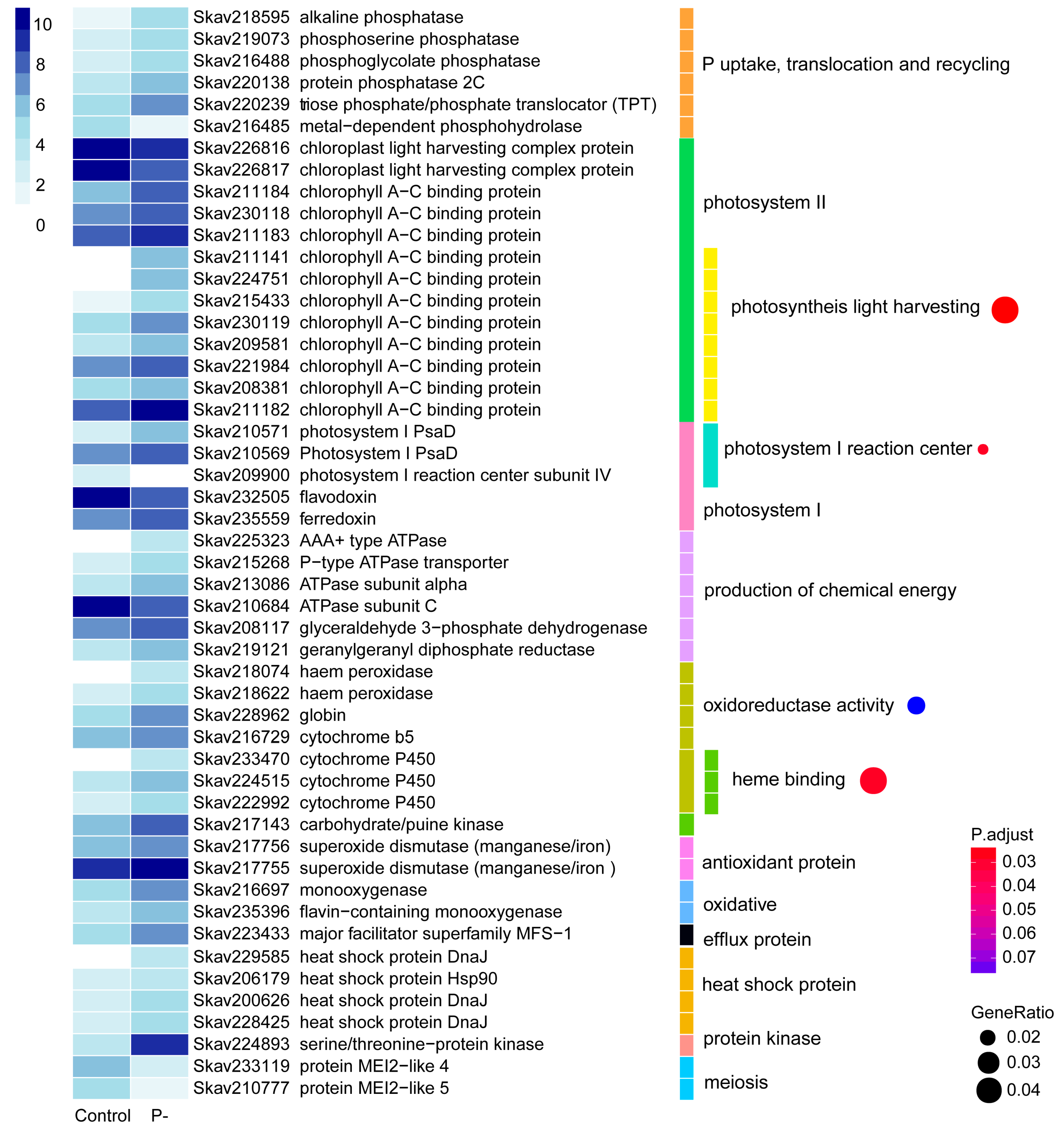 Microorganisms 07 00096 g003