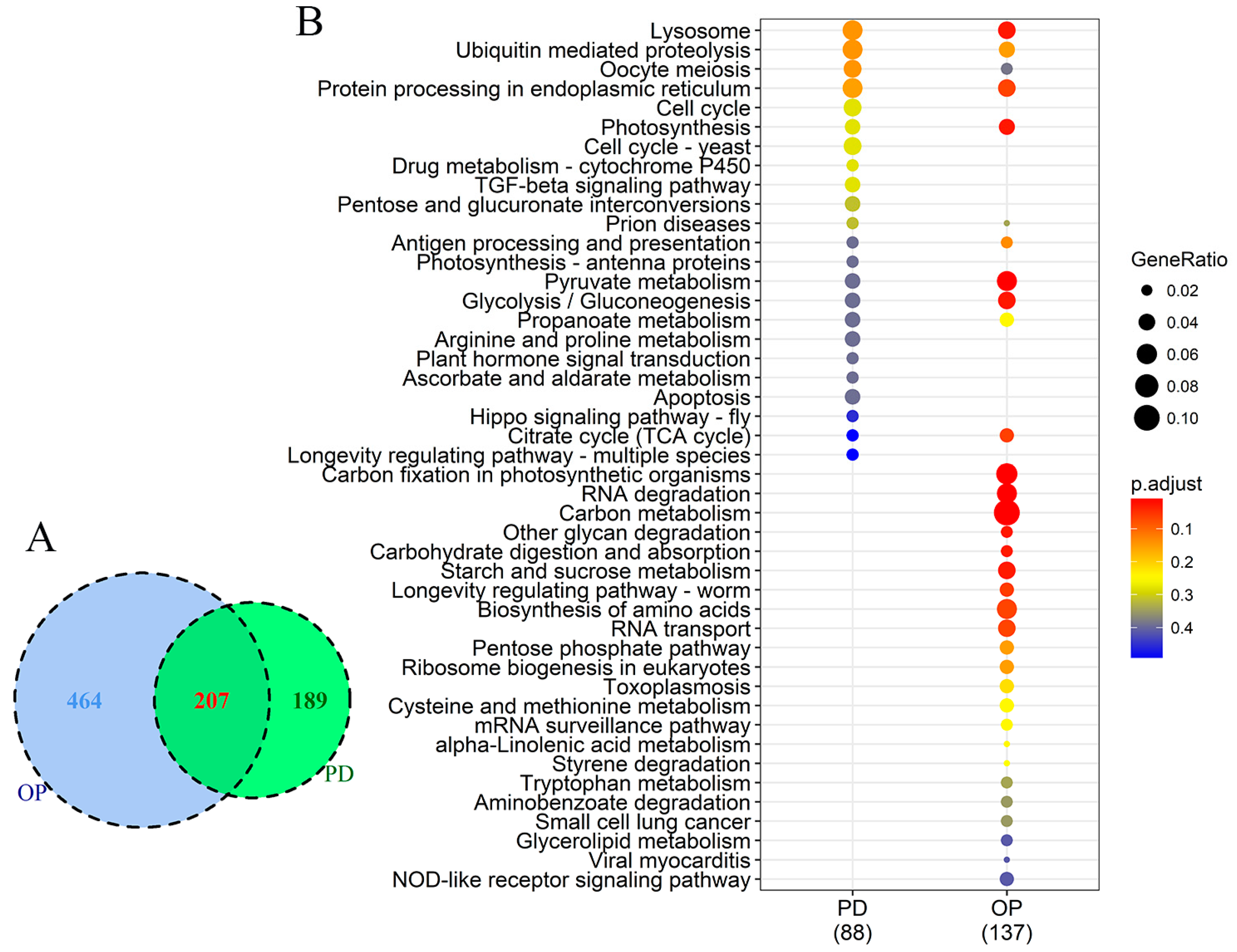 Microorganisms 07 00096 g005