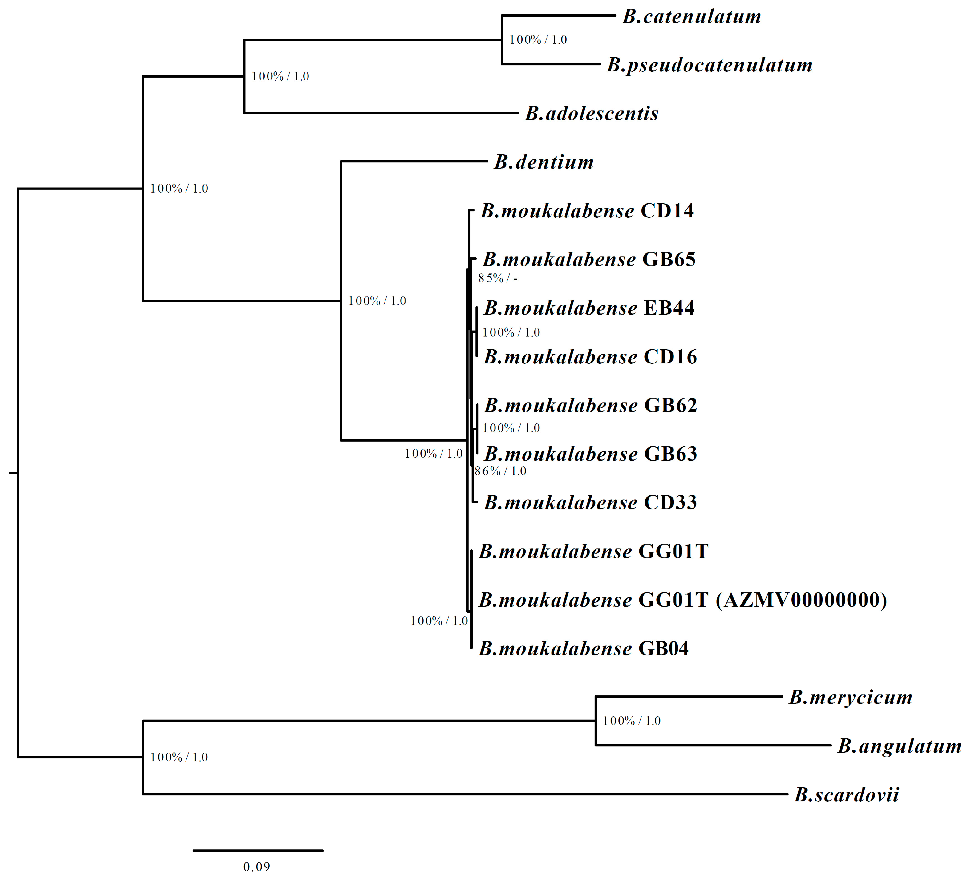 Microorganisms 07 00099 g001