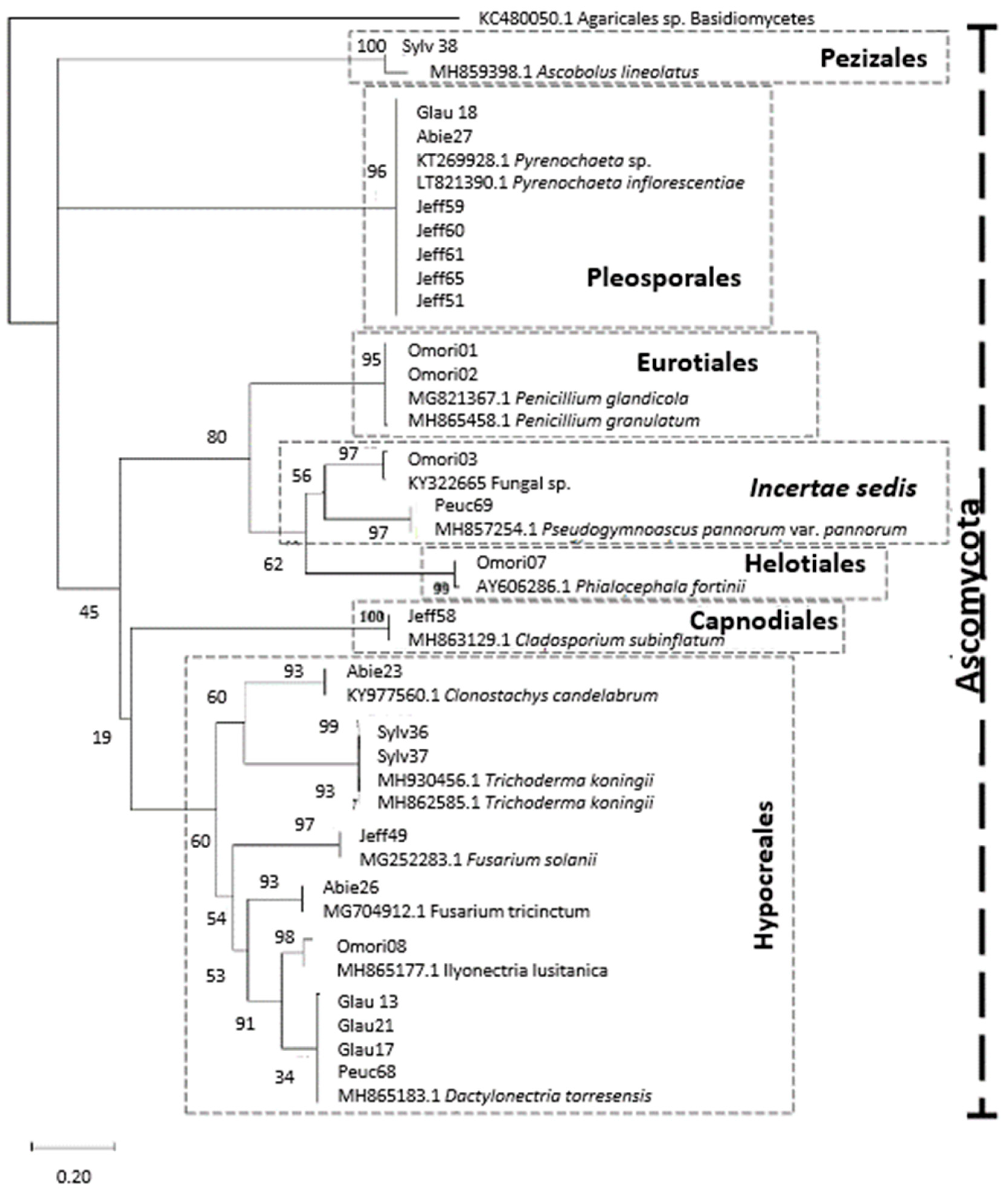 Microorganisms 07 00102 g004