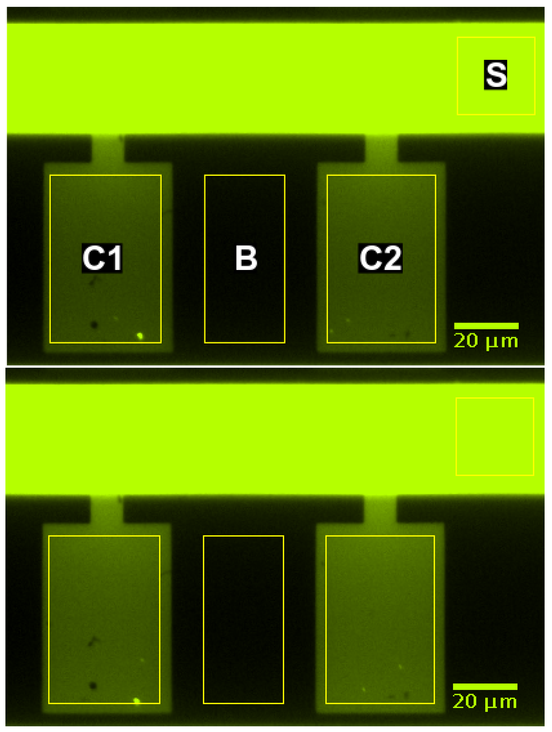 Microorganisms 07 00105 g008
