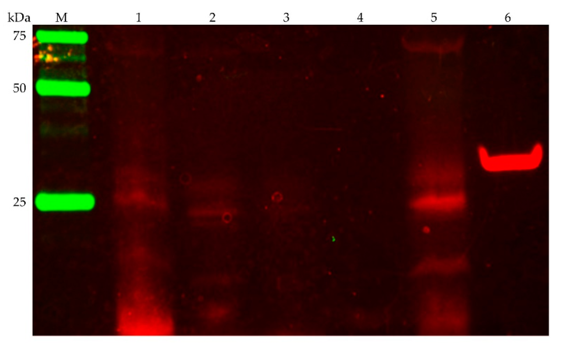 Microorganisms 07 00117 g003