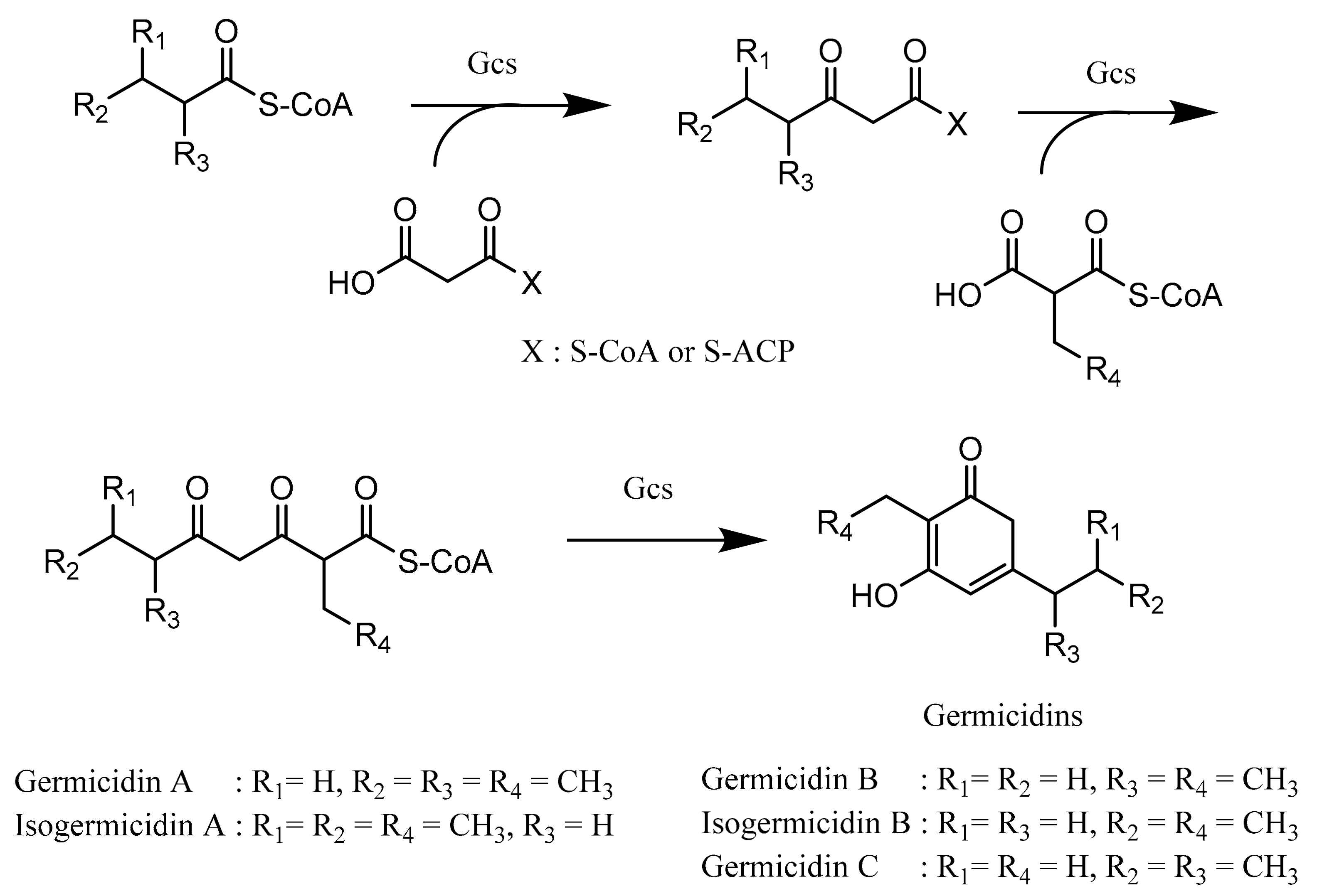 Microorganisms 07 00124 g008