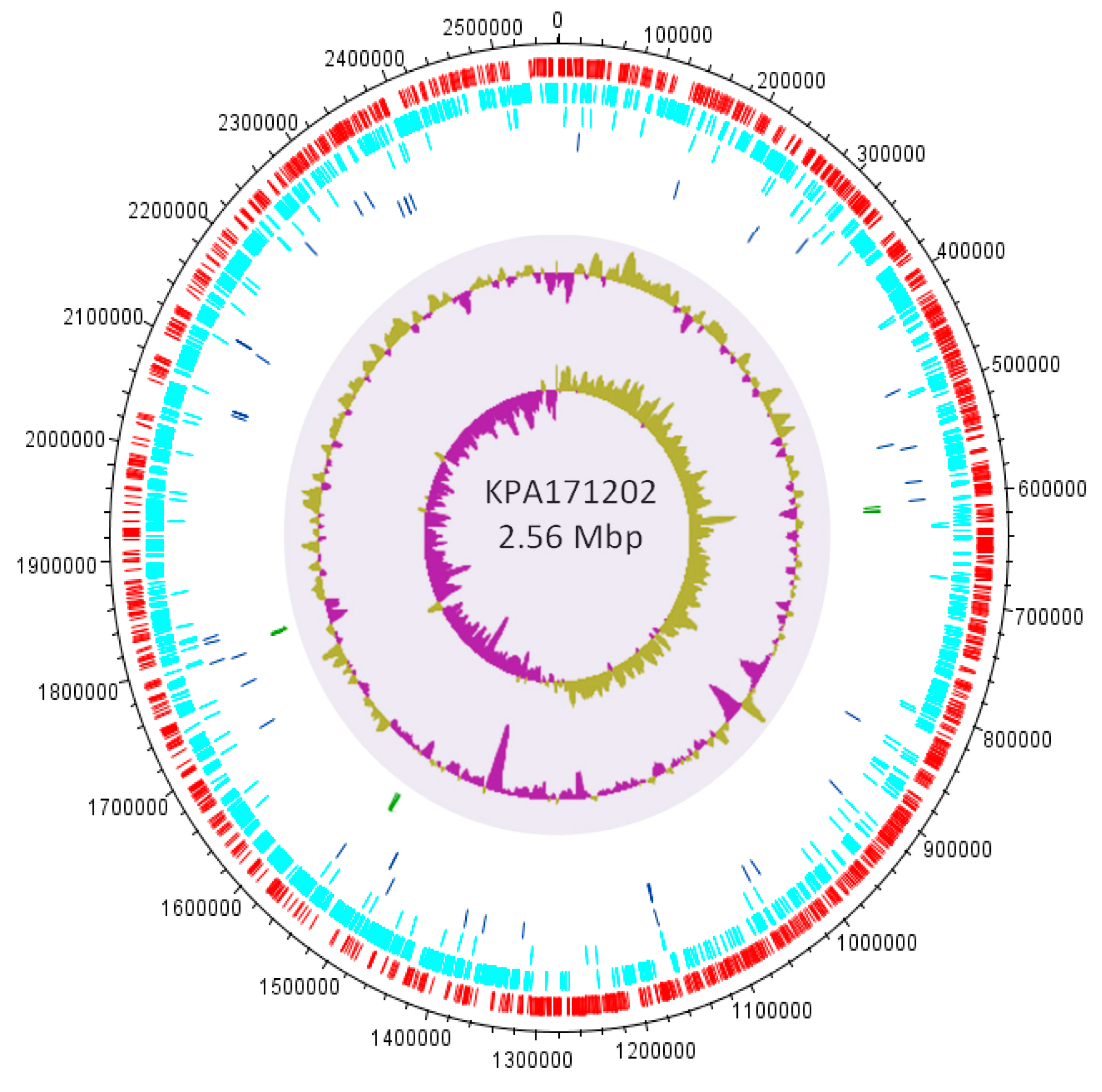 Microorganisms 07 00128 g008