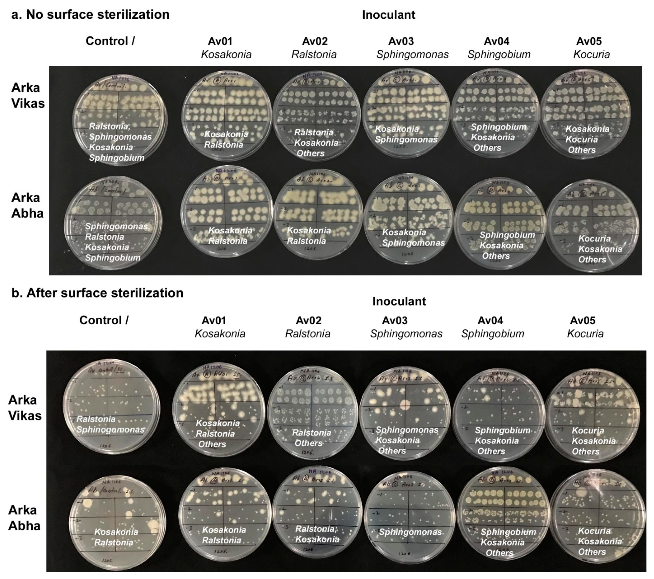 Microorganisms 07 00132 g005 Microorganisms 07 00132 g005