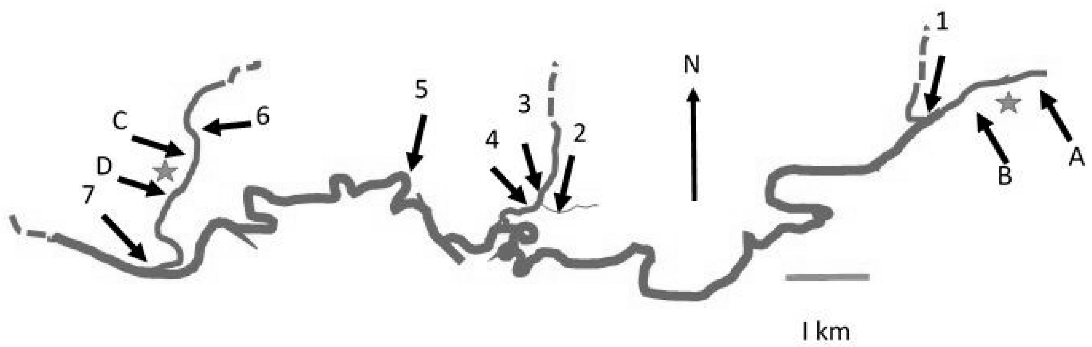 Microorganisms 07 00136 g001