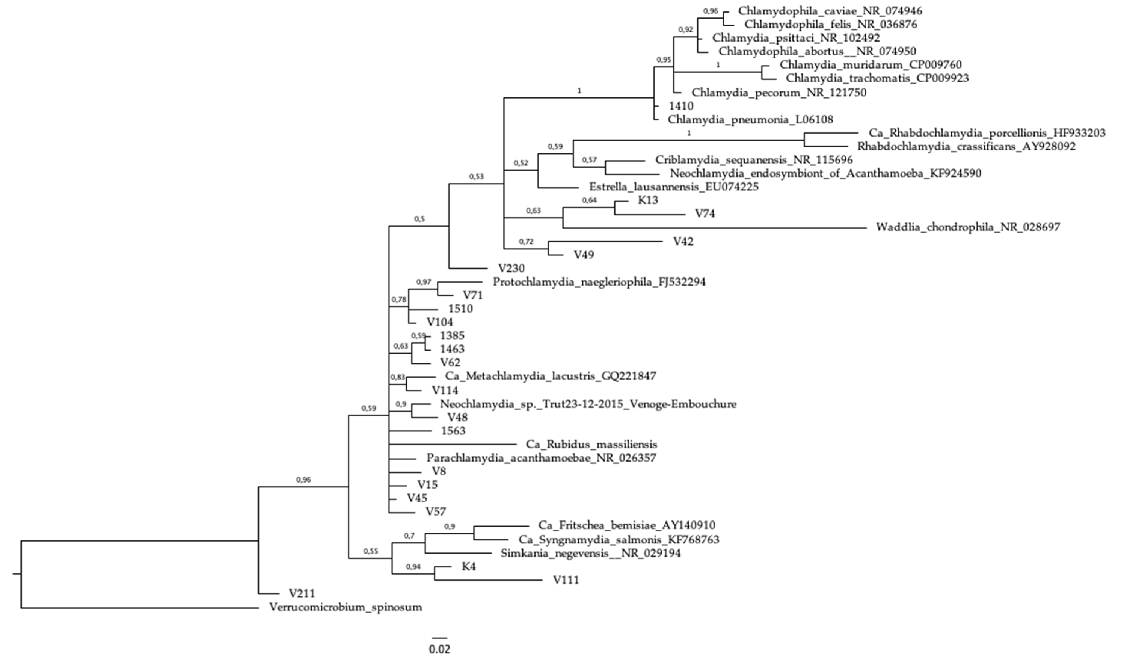 Microorganisms 07 00141 g001
