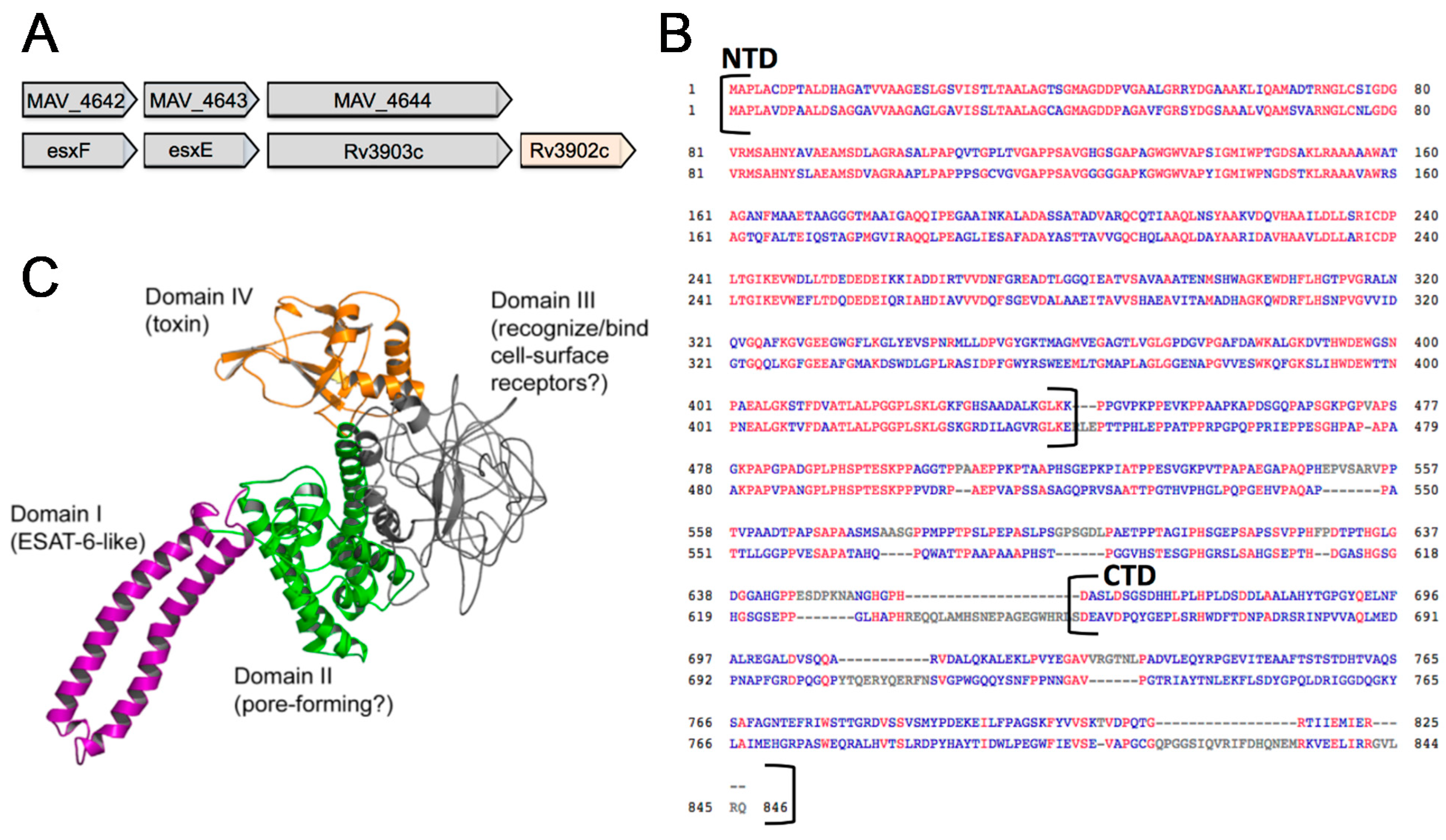 Microorganisms 07 00144 g004 Microorganisms 07 00144 g004