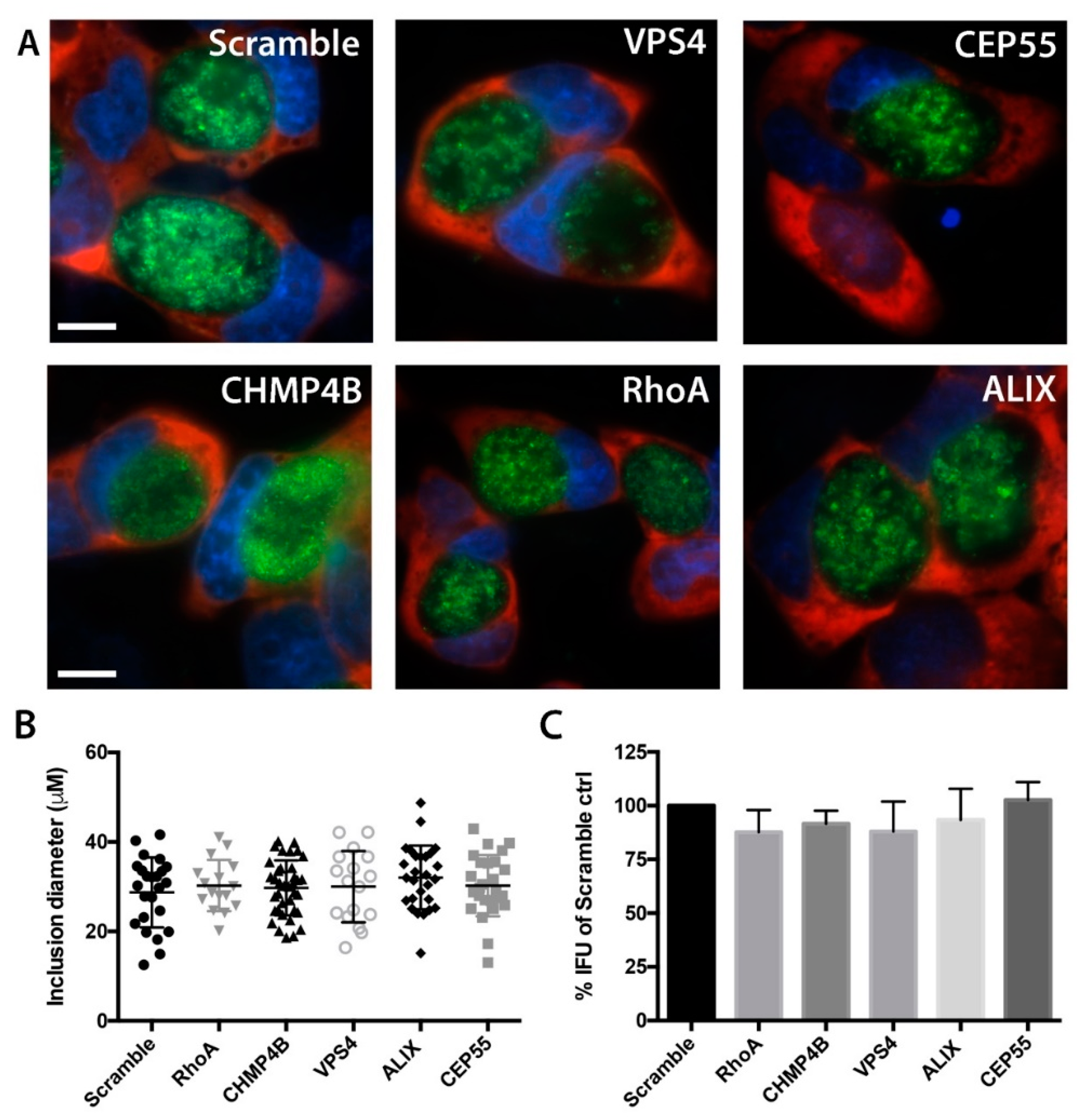 Microorganisms 07 00149 g004