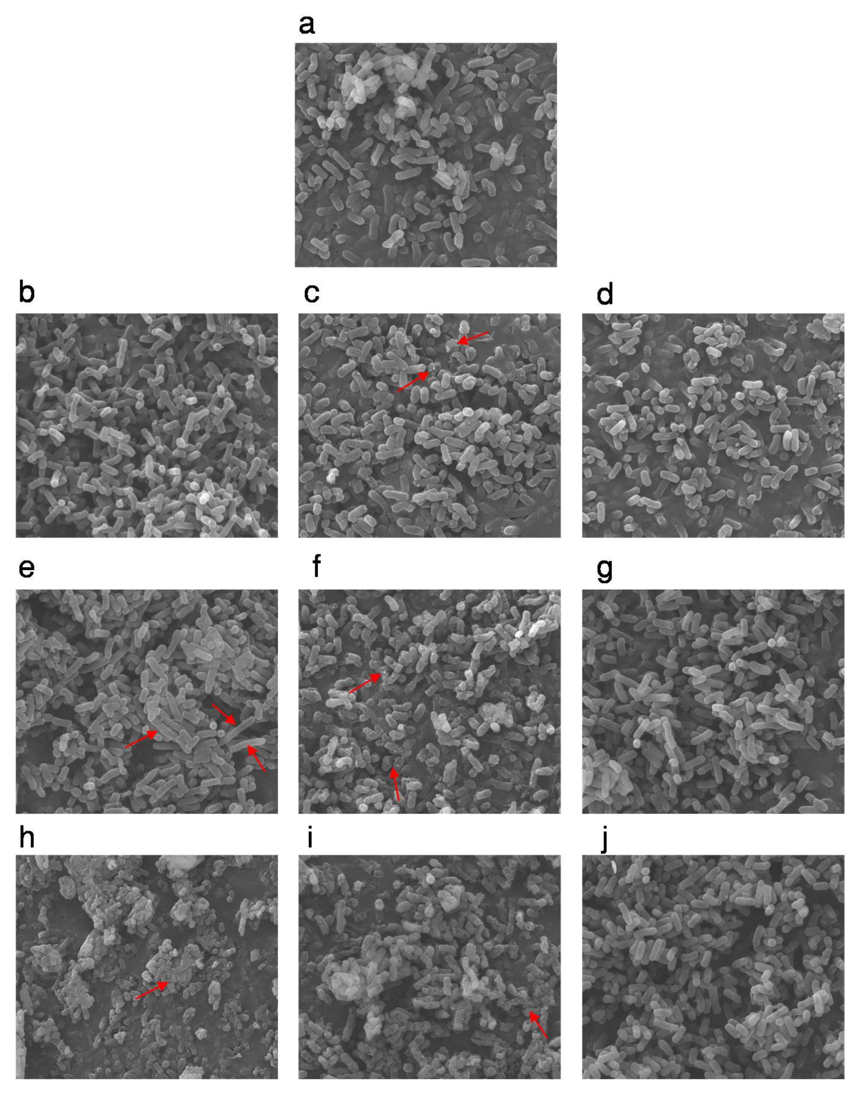 Microorganisms 07 00154 g002