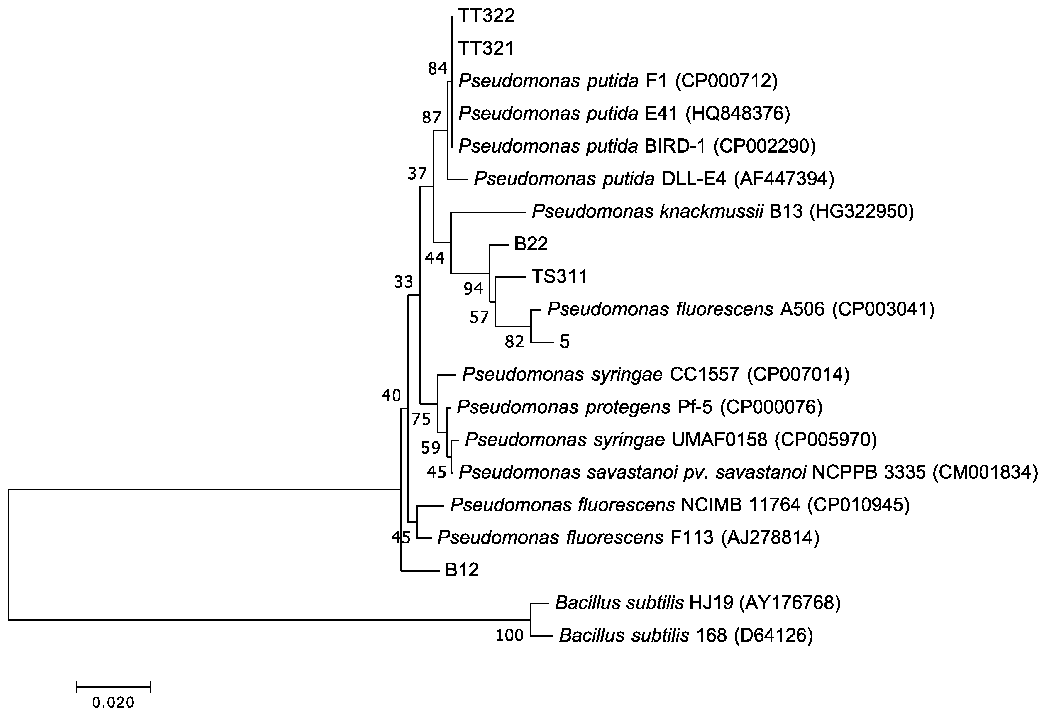 Microorganisms 07 00155 g003 Microorganisms 07 00155 g003