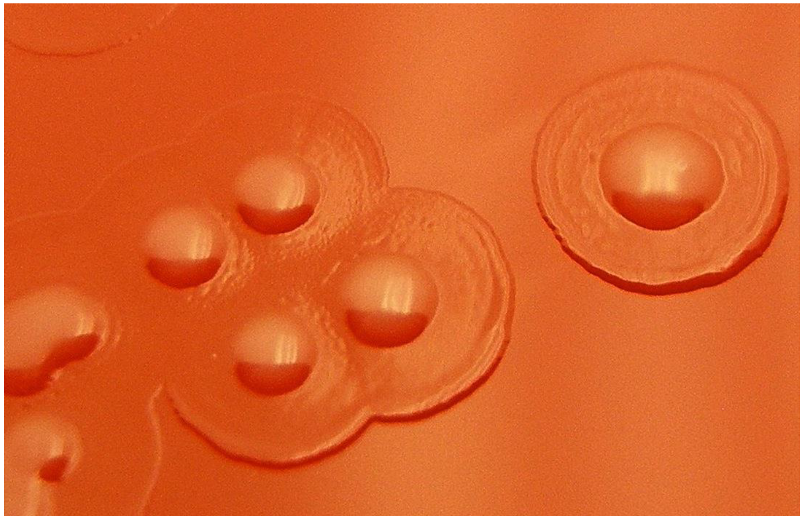 Microorganisms 07 00163 g002