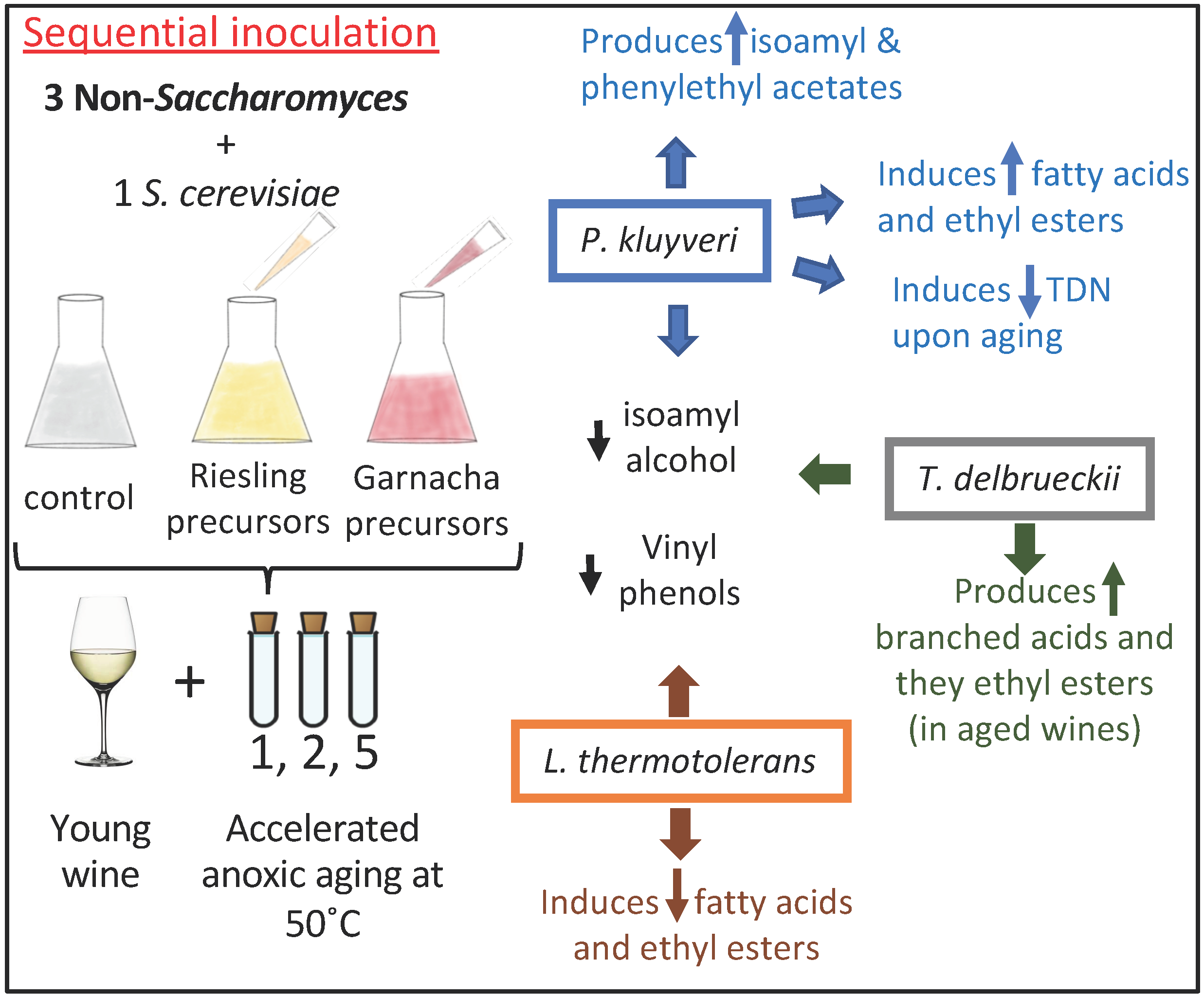 Free FullText Modulating Fermentative, Varietal and