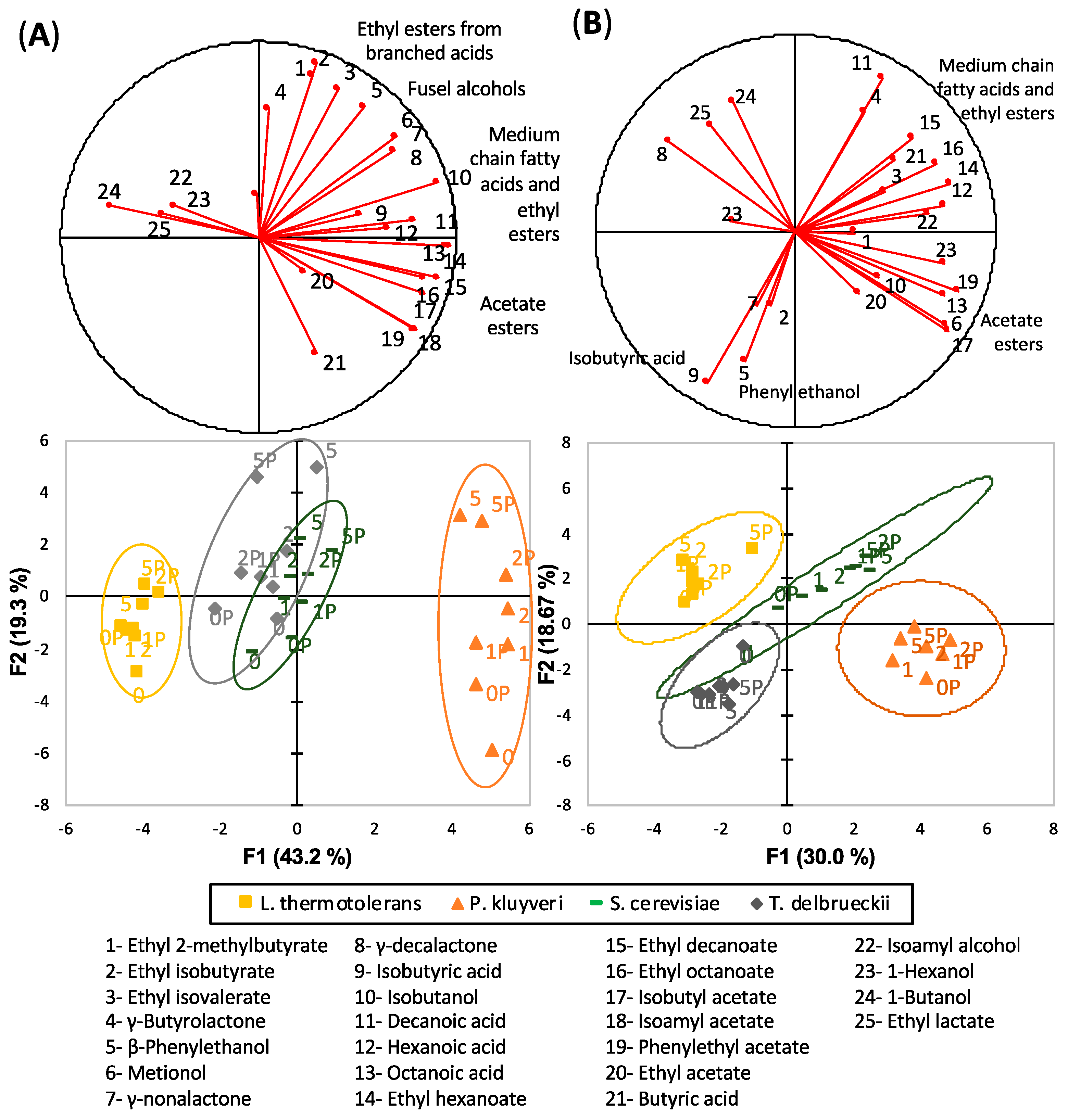 Microorganisms 07 00164 g002 550