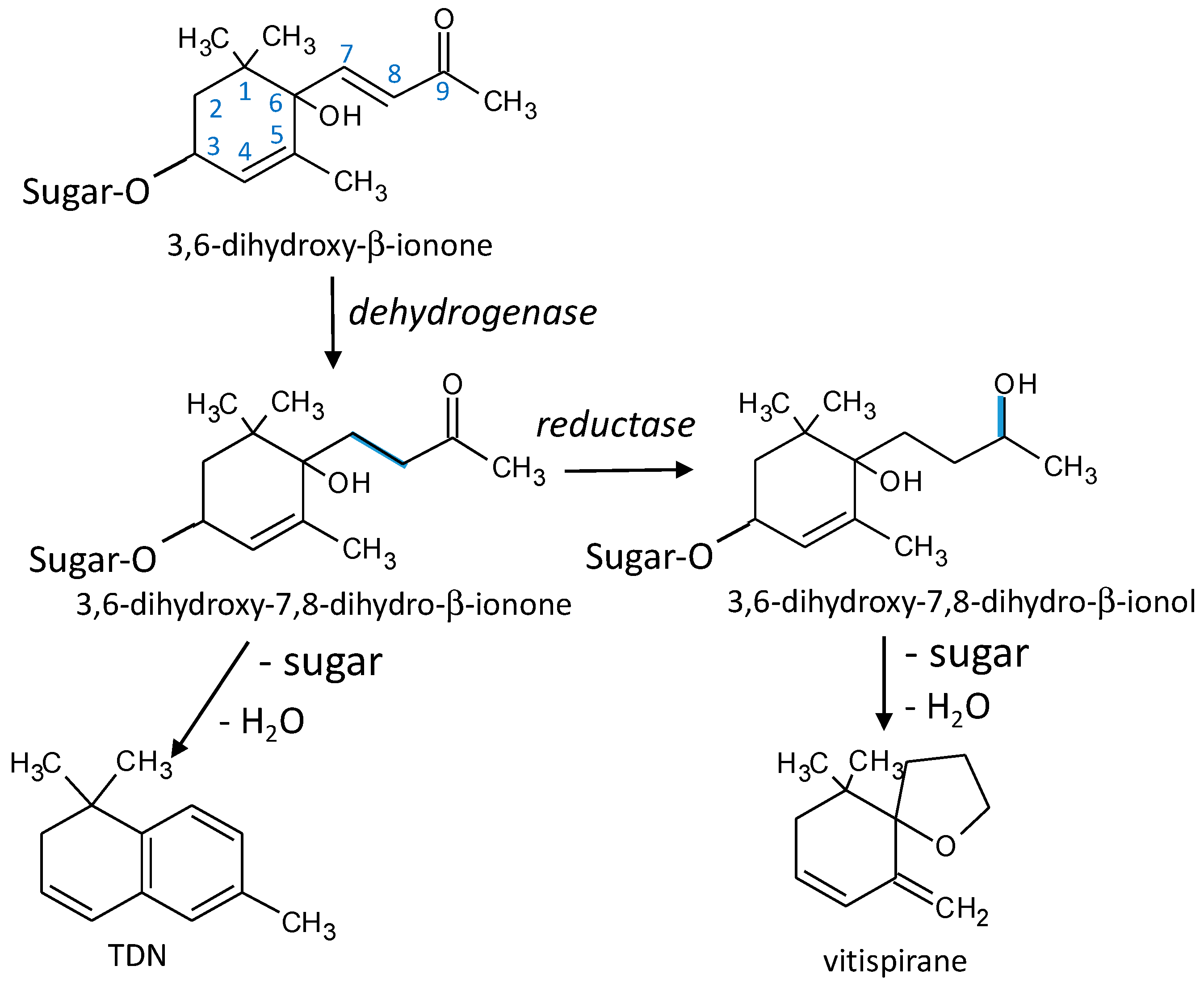 Microorganisms 07 00164 g010 550