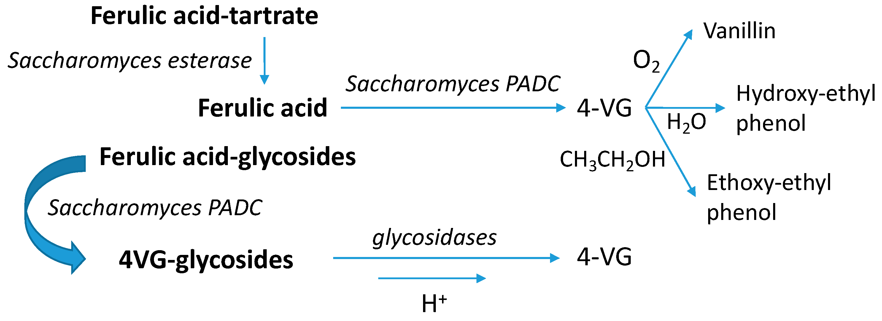 Microorganisms 07 00164 g011 550