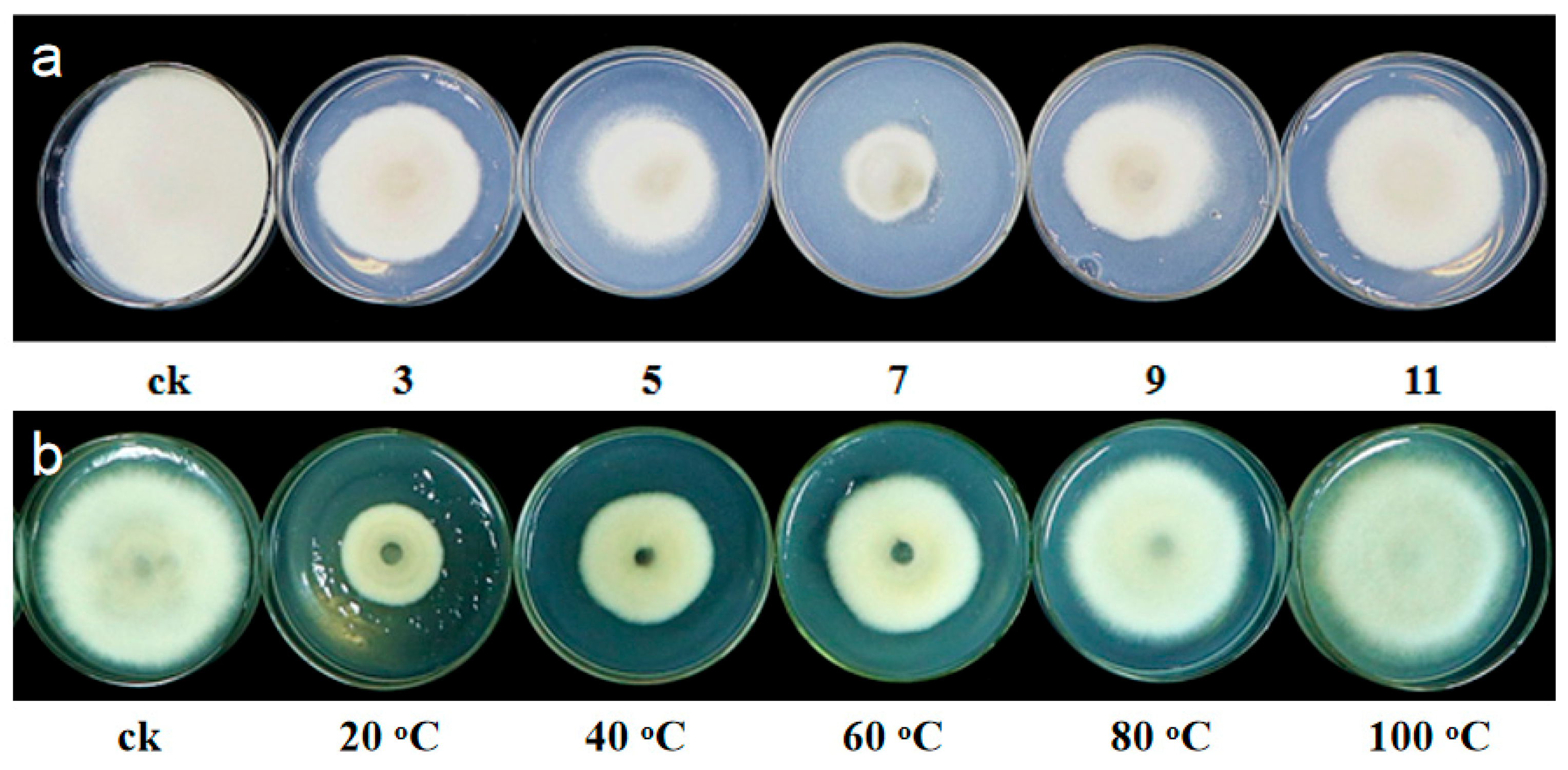 Microorganisms 07 00170 g005 Microorganisms 07 00170 g005