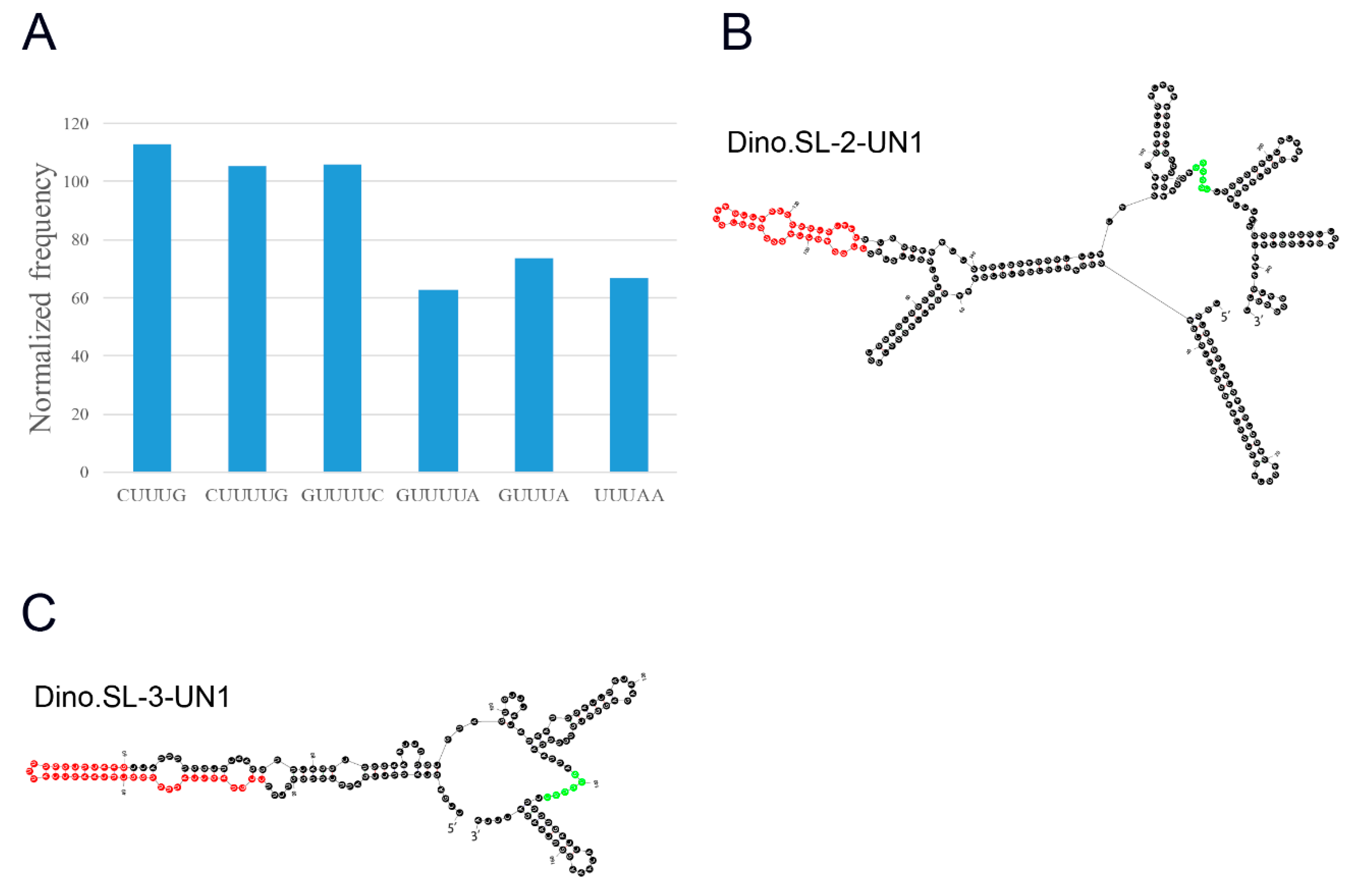 Microorganisms 07 00171 g003