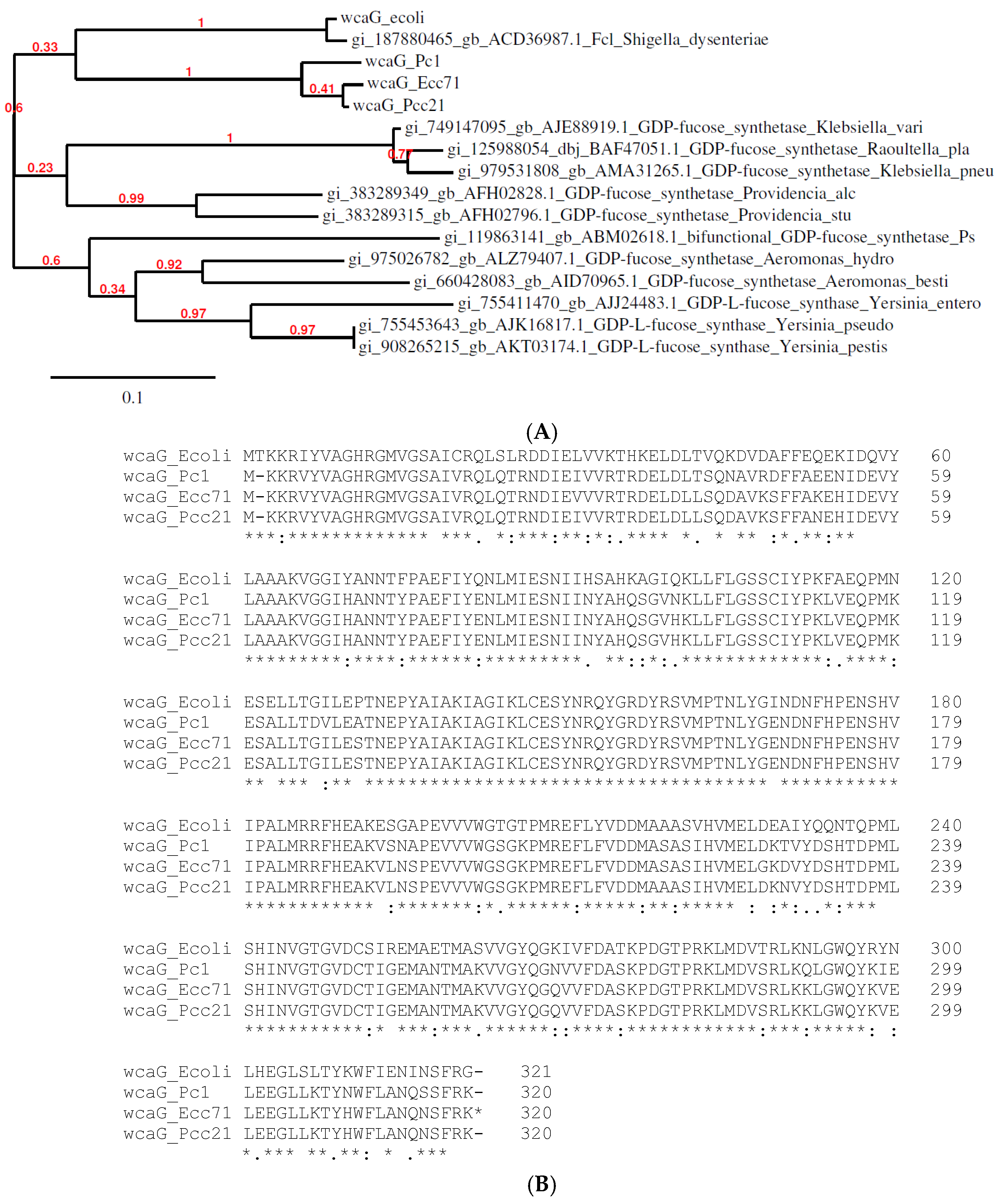 Microorganisms 07 00172 g005