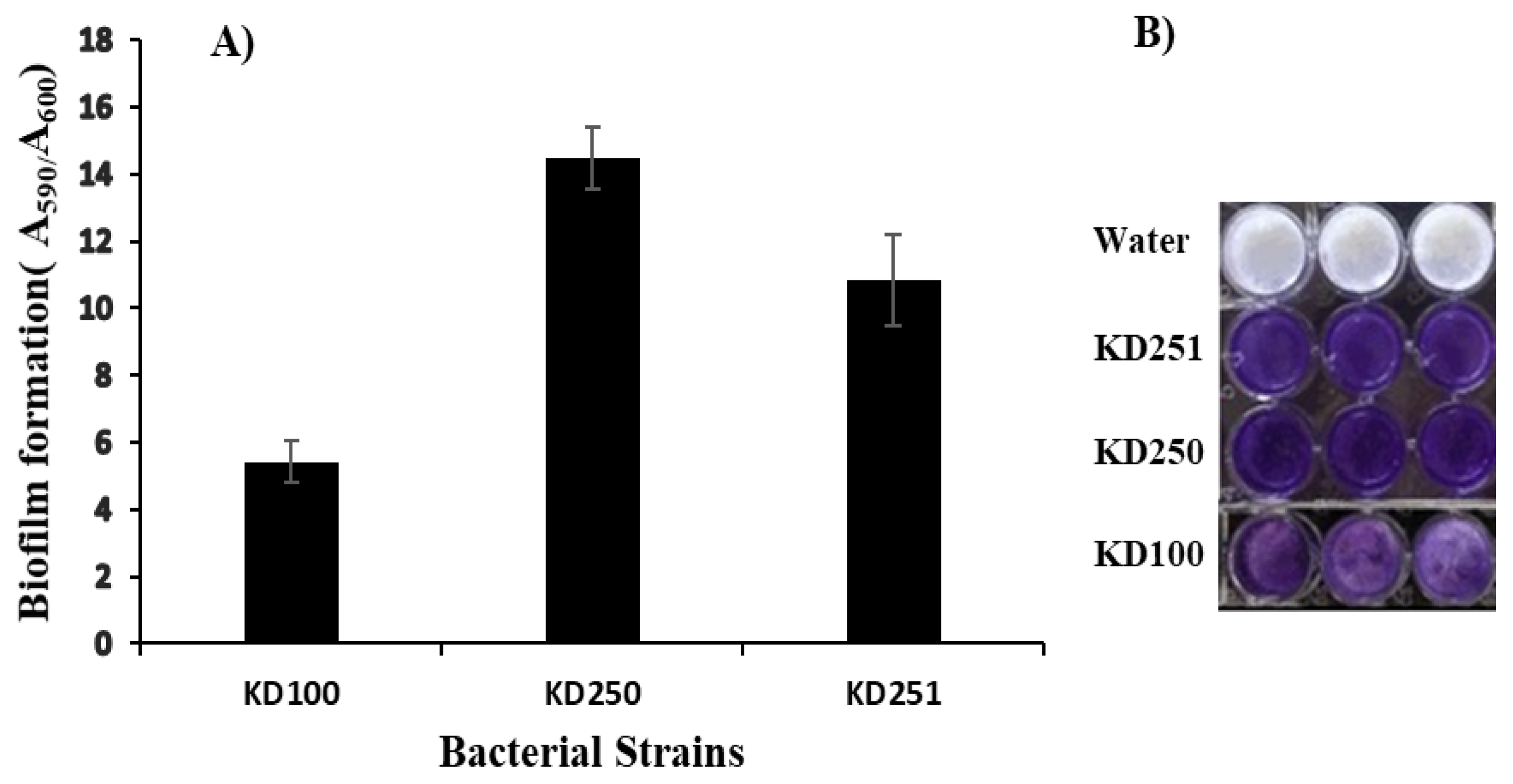 Microorganisms 07 00172 g010