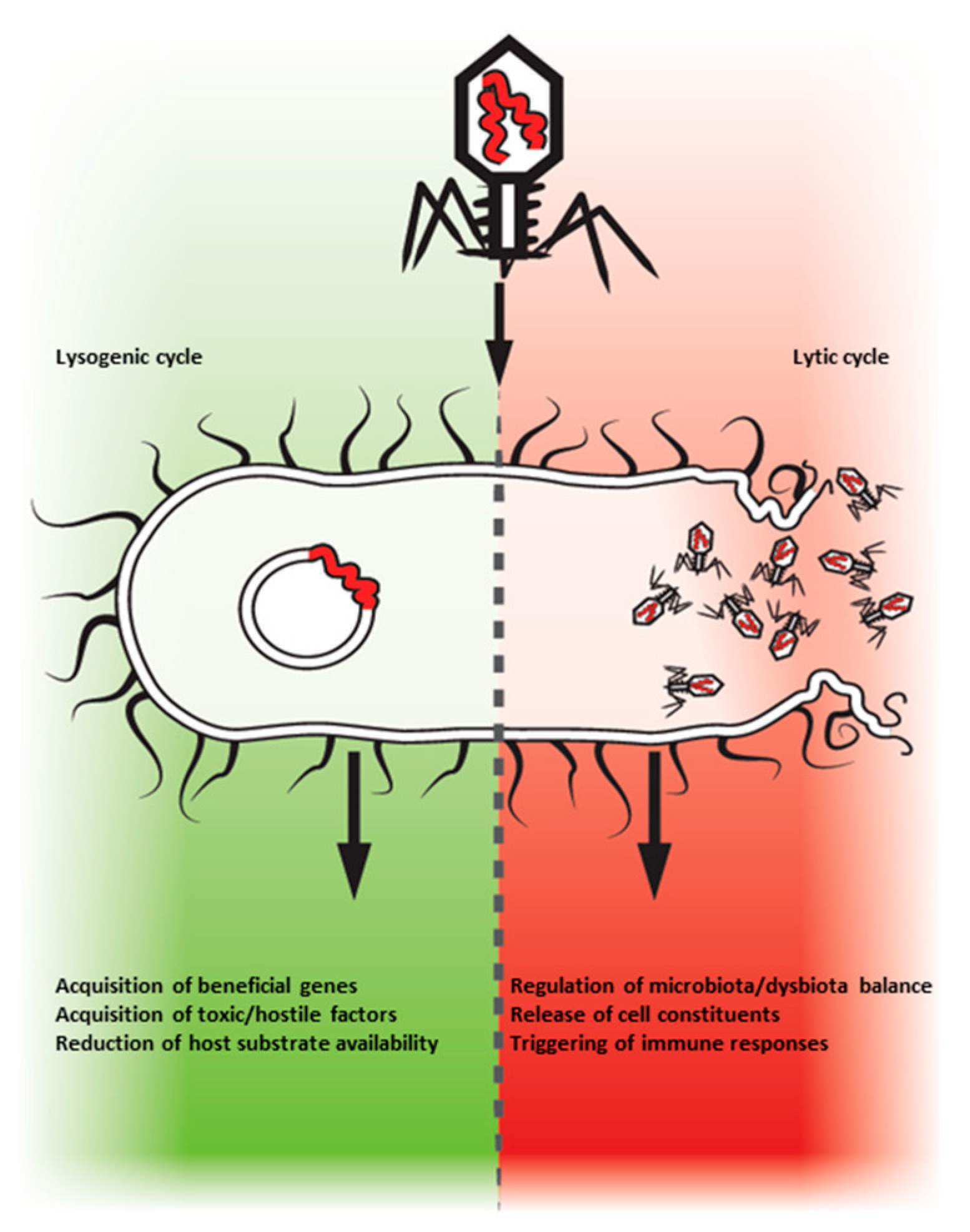 Microorganisms 07 00173 g002 Microorganisms 07 00173 g002