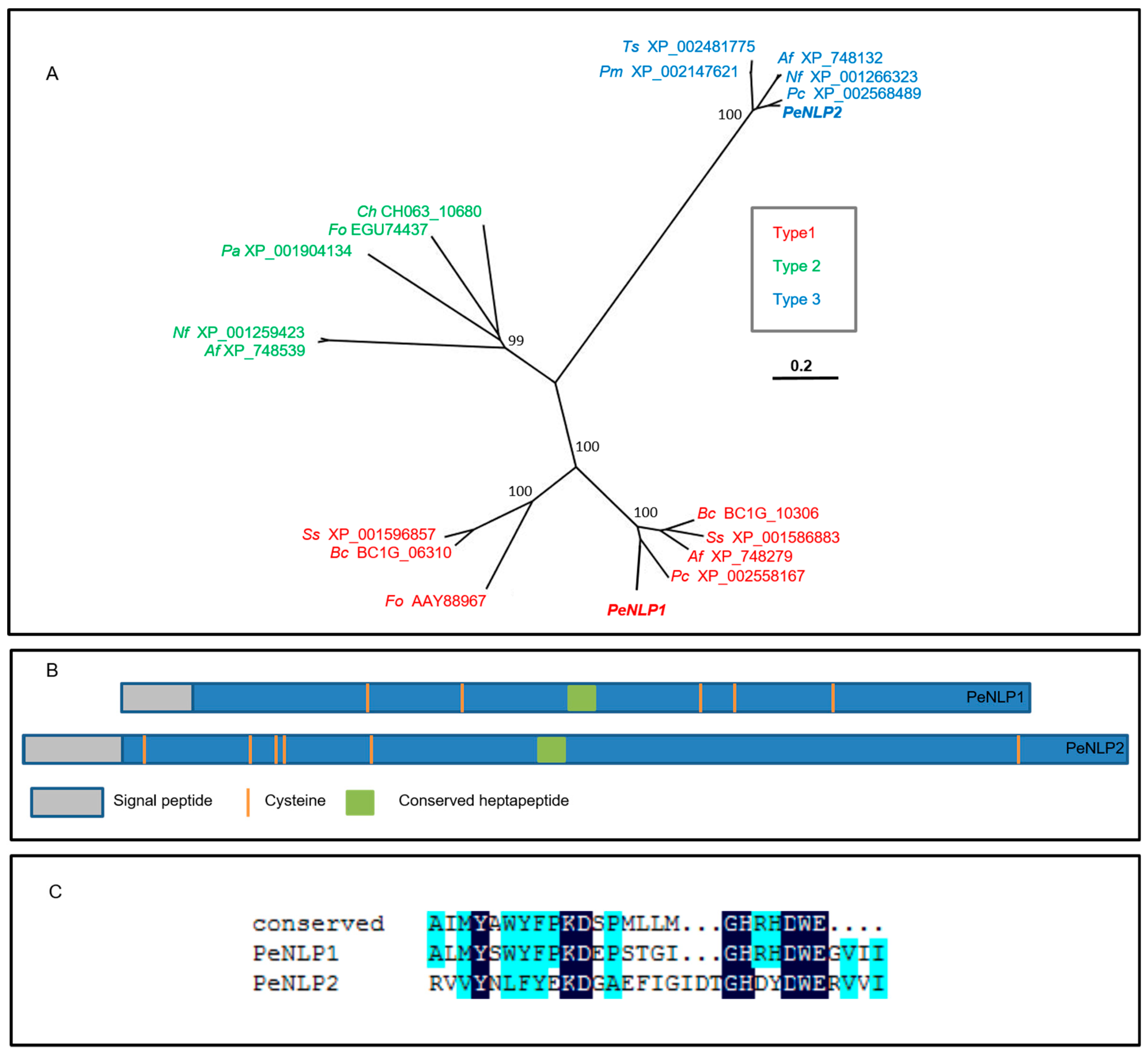 Microorganisms 07 00175 g001 Microorganisms 07 00175 g001