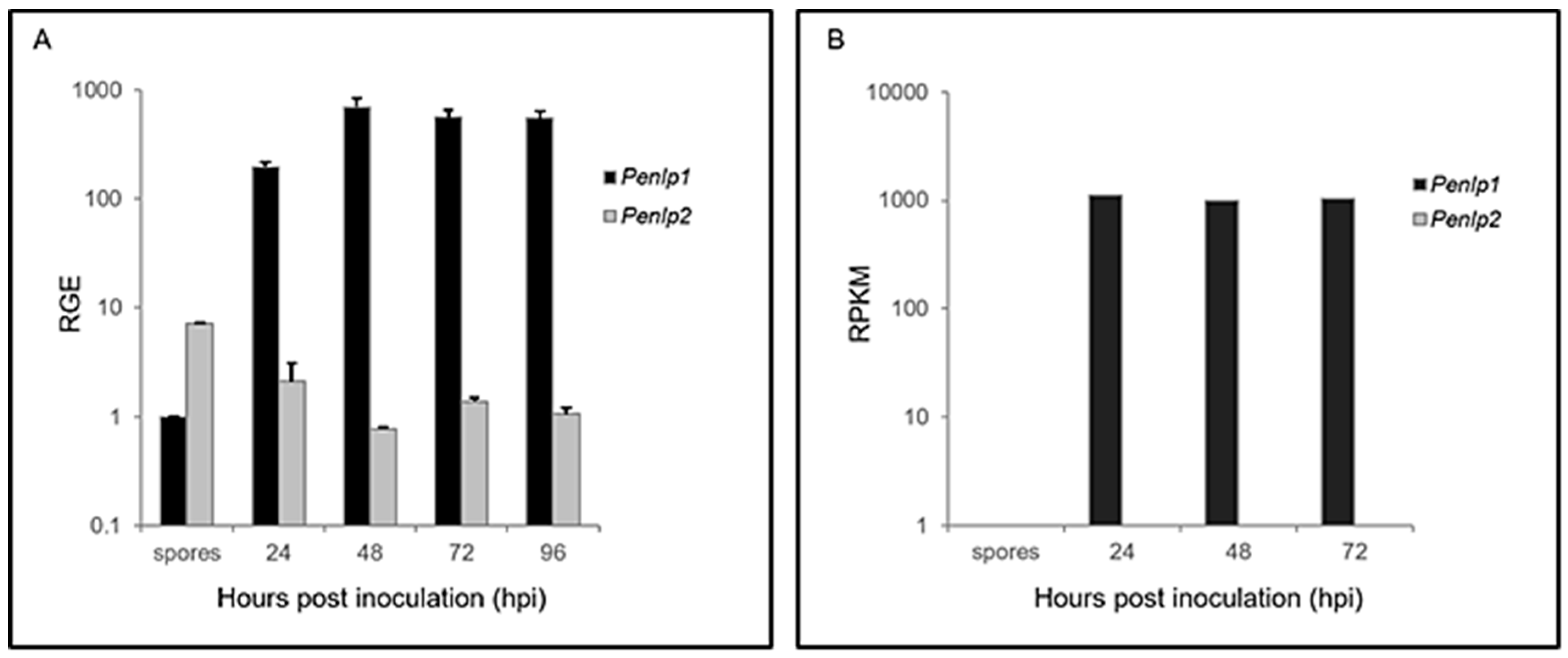 Microorganisms 07 00175 g004 Microorganisms 07 00175 g004