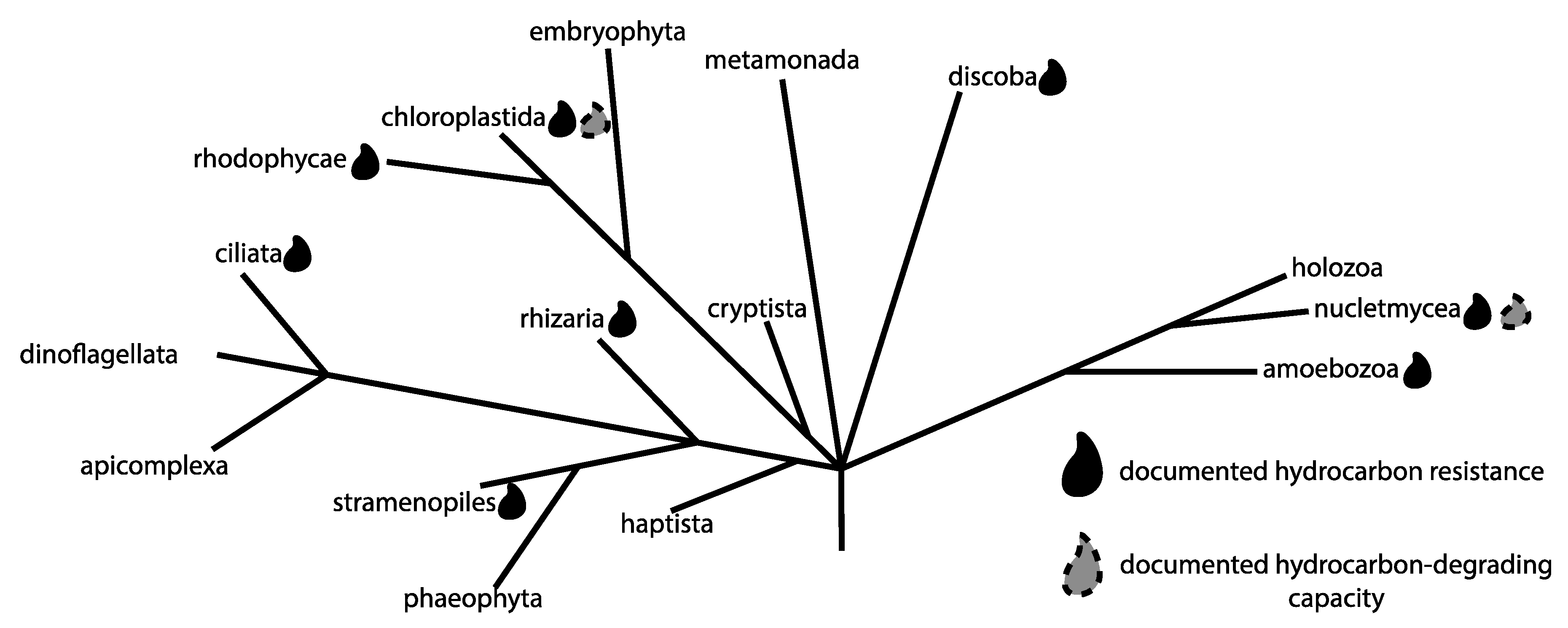Microorganisms 07 00178 g001 Microorganisms 07 00178 g001