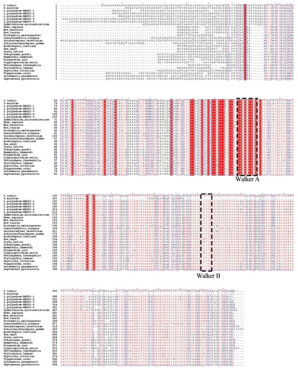 Microorganisms 07 00191 g006