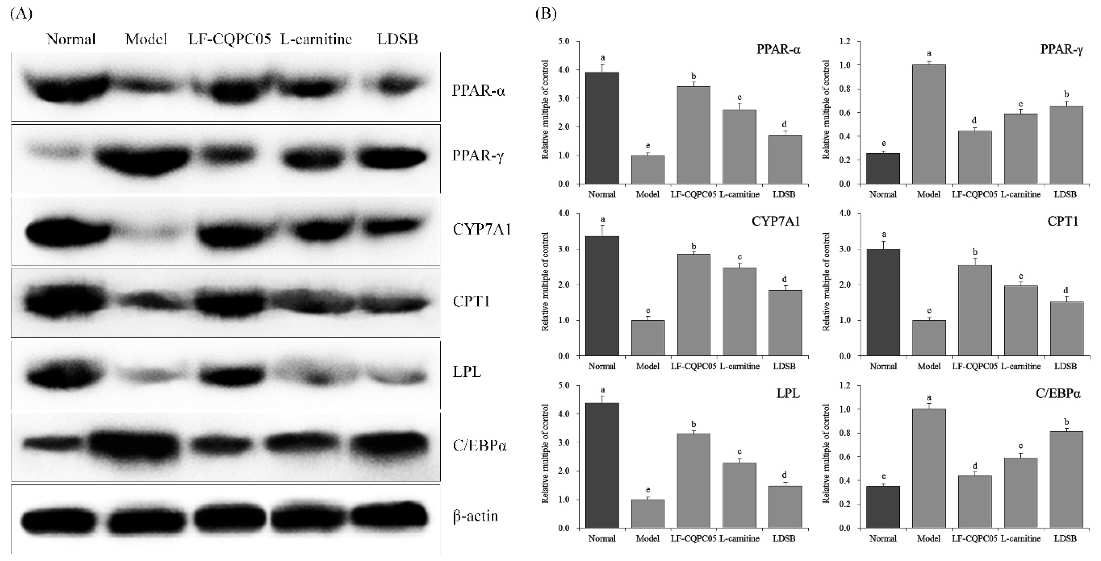Microorganisms 07 00194 g005 Microorganisms 07 00194 g005