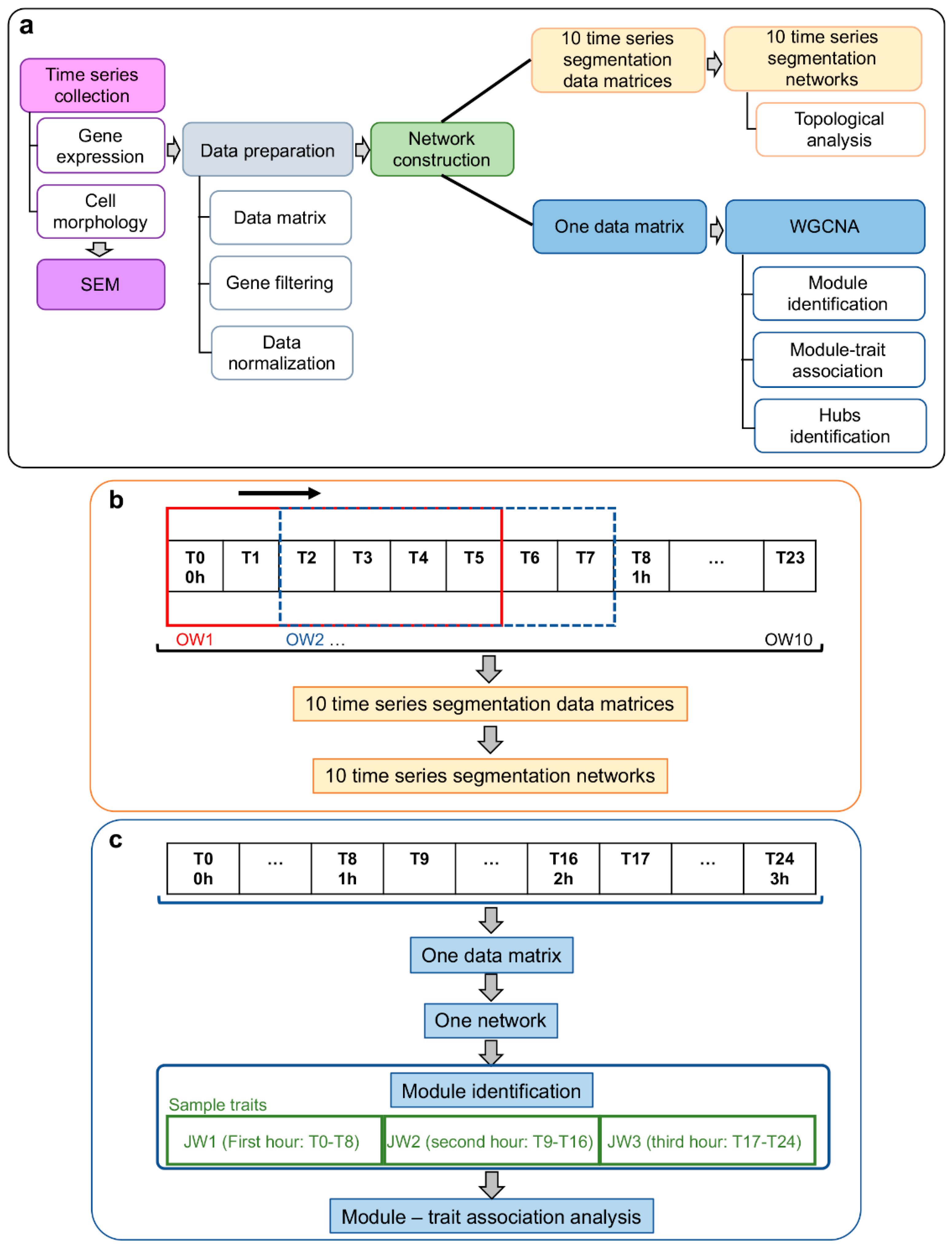 Microorganisms 07 00195 g001 Microorganisms 07 00195 g001