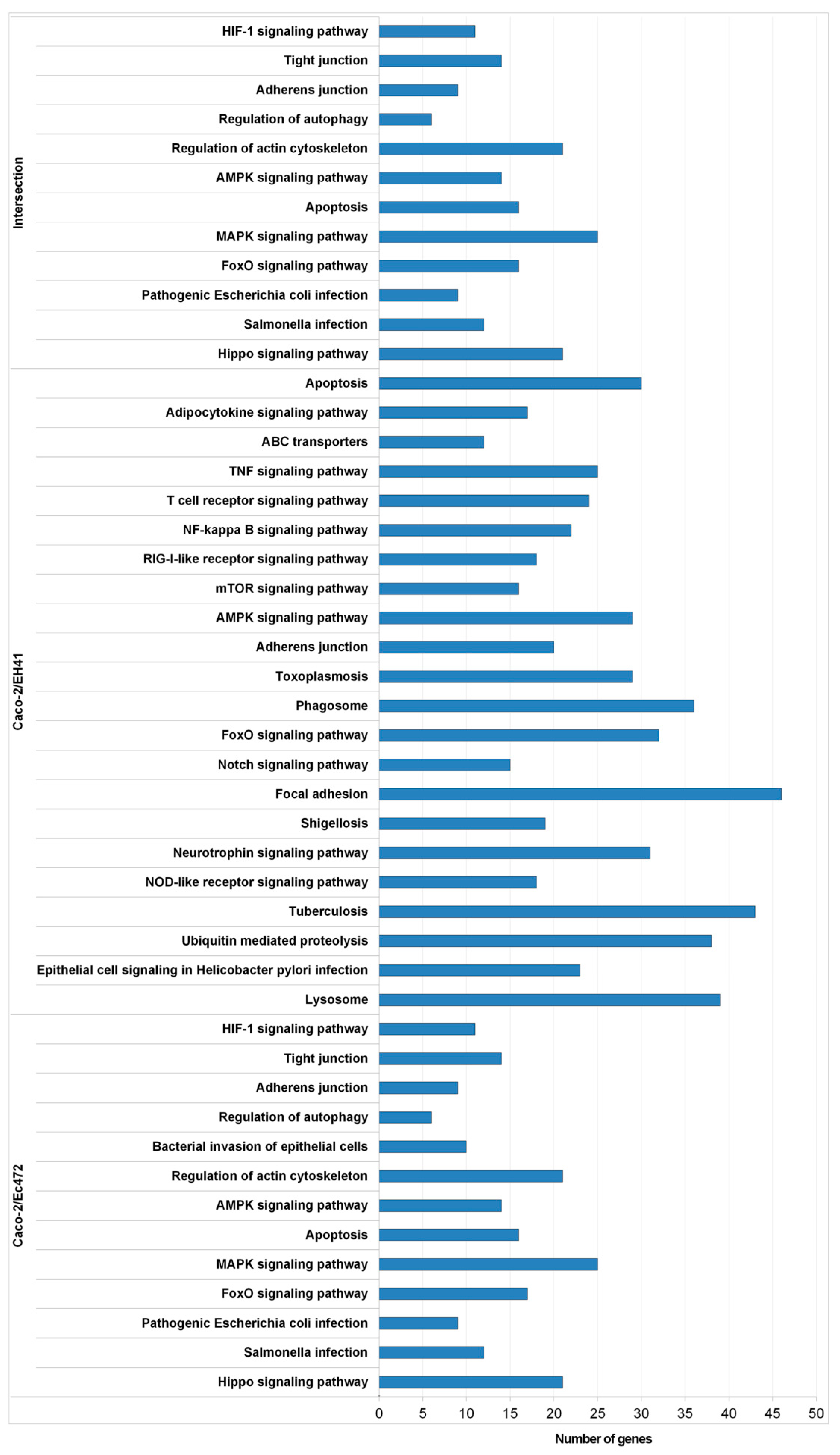 Microorganisms 07 00195 g003 Microorganisms 07 00195 g003