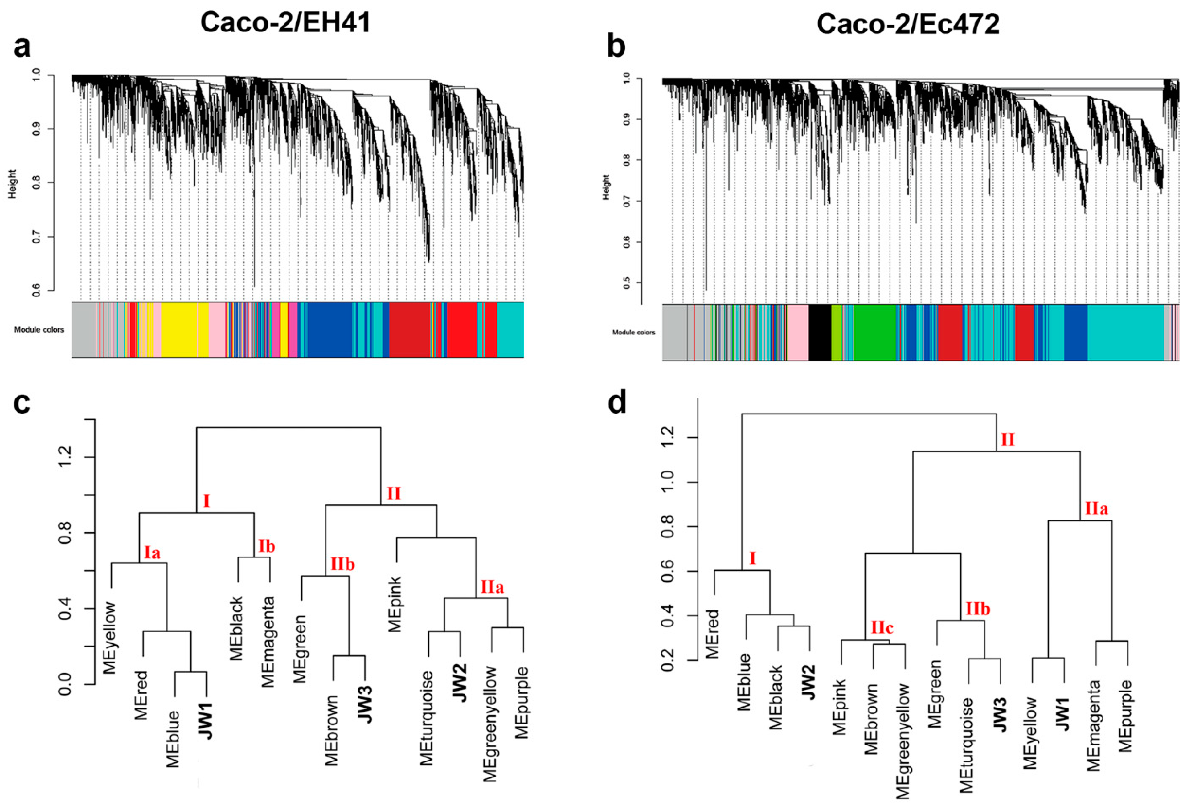Microorganisms 07 00195 g005 Microorganisms 07 00195 g005
