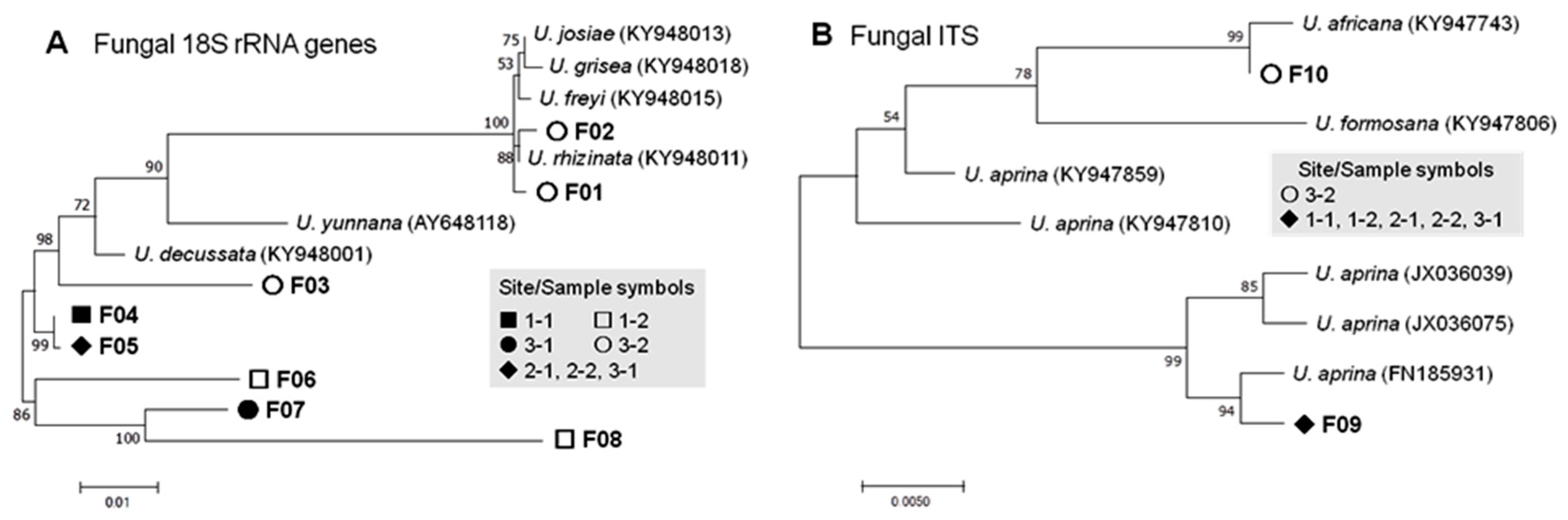 Microorganisms 07 00203 g003
