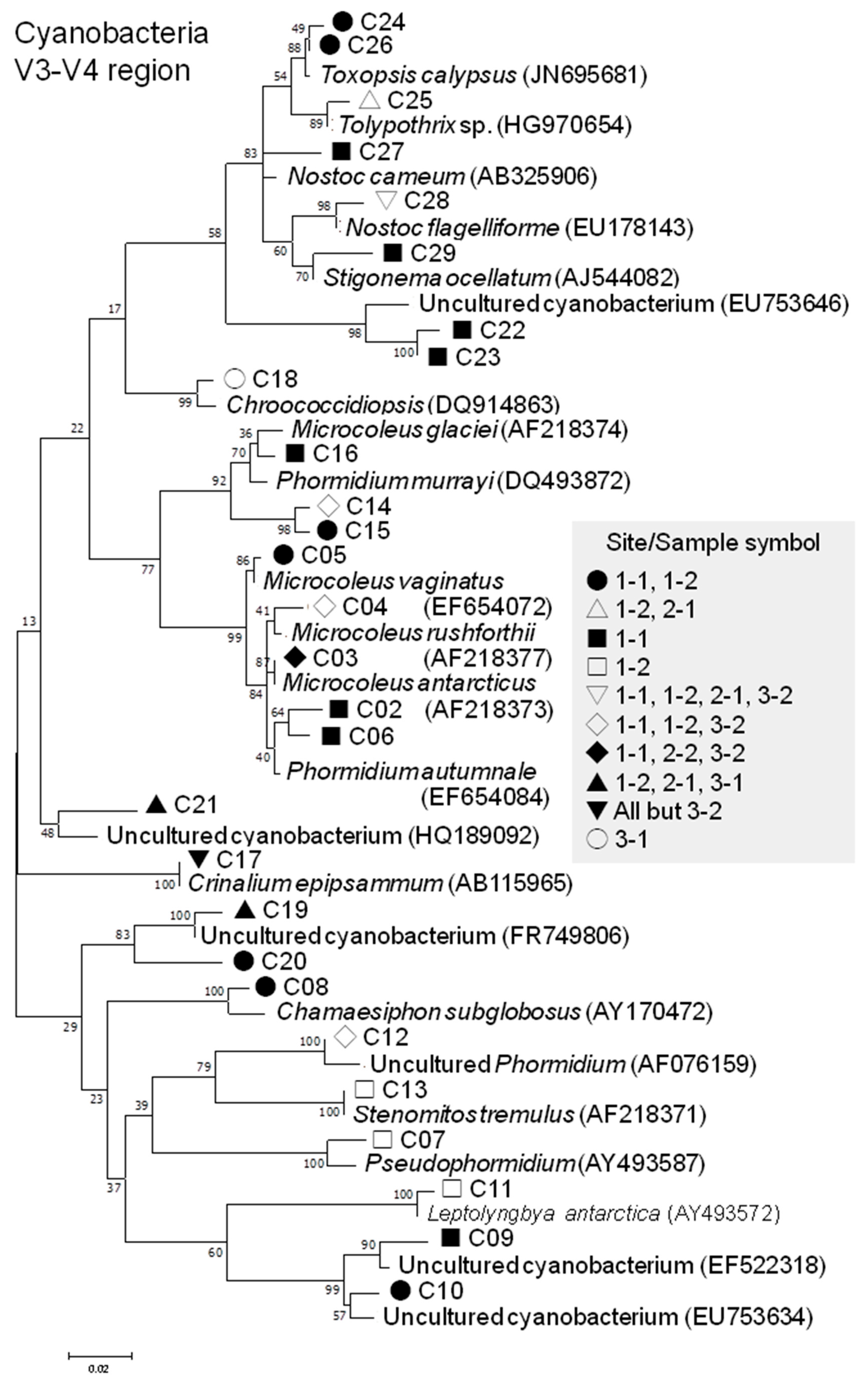 Microorganisms 07 00203 g006