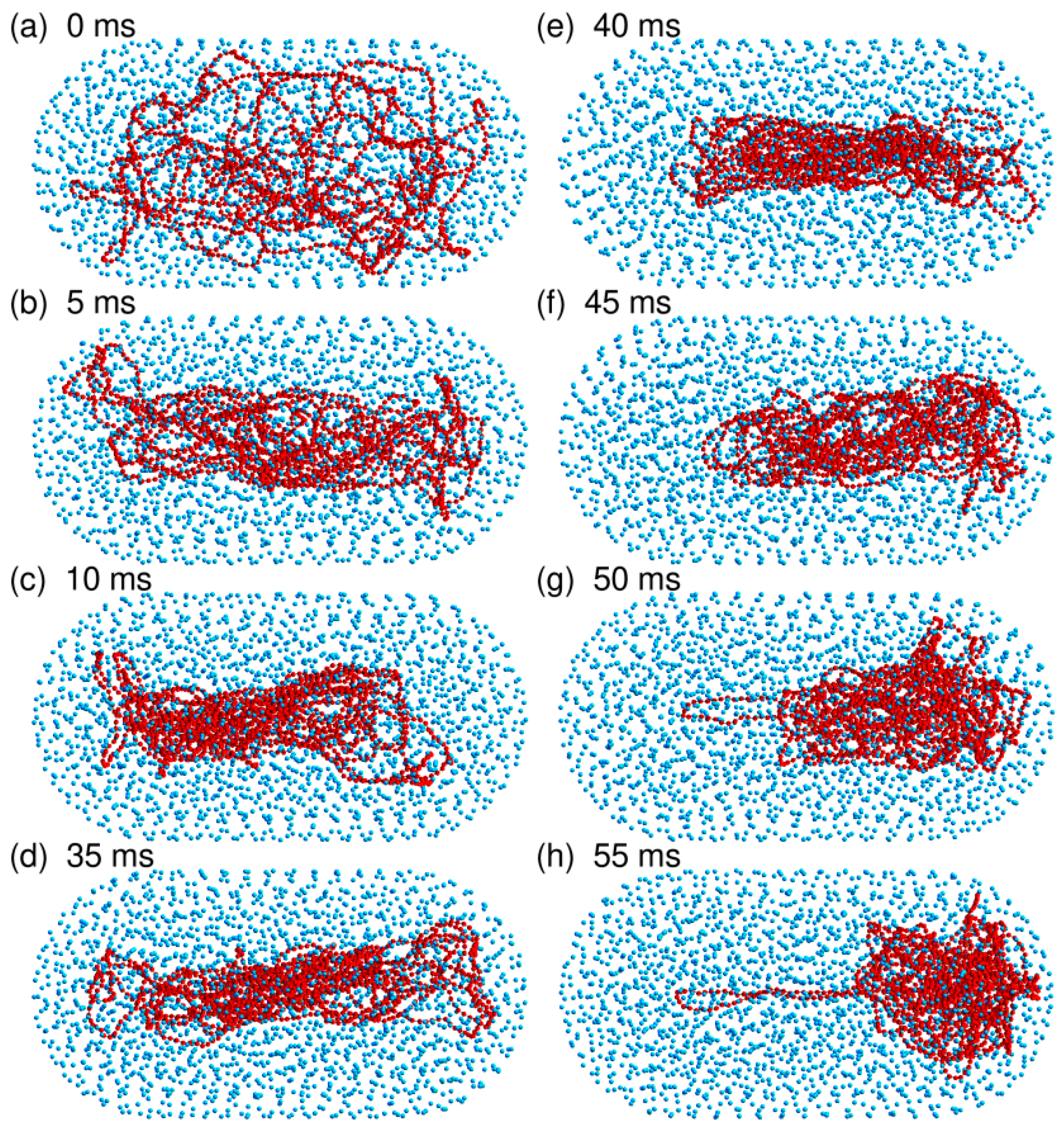 Microorganisms 07 00204 g007