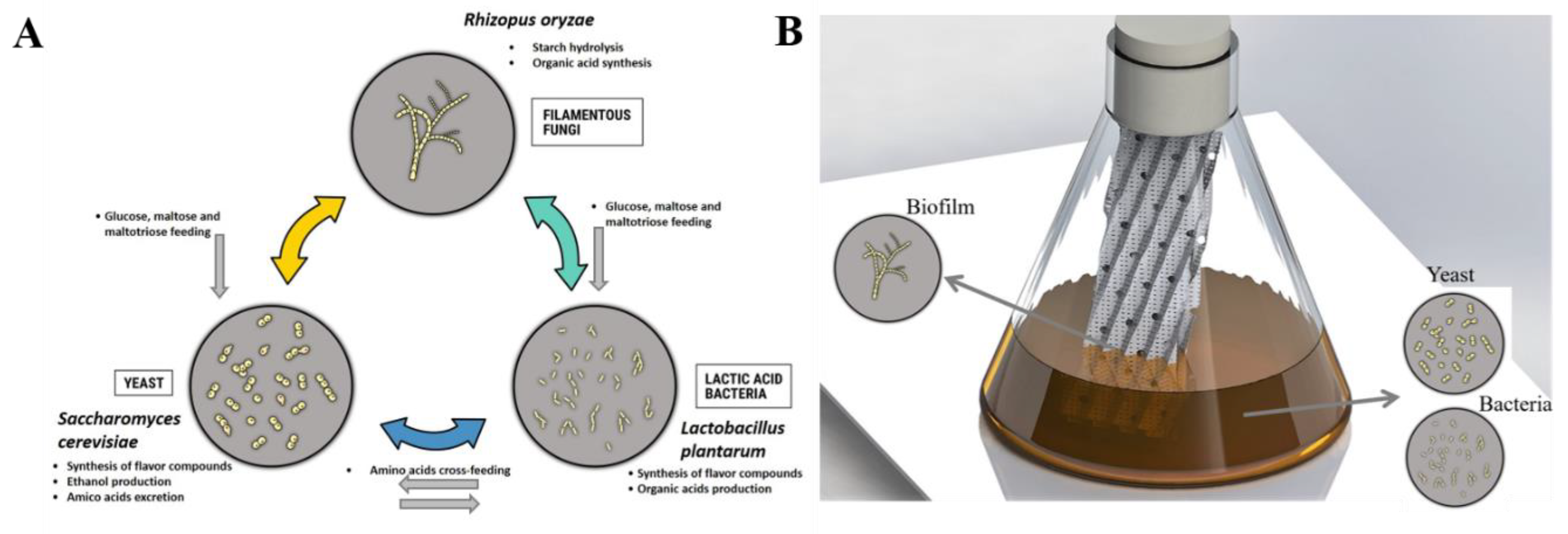 Microorganisms 07 00206 g004