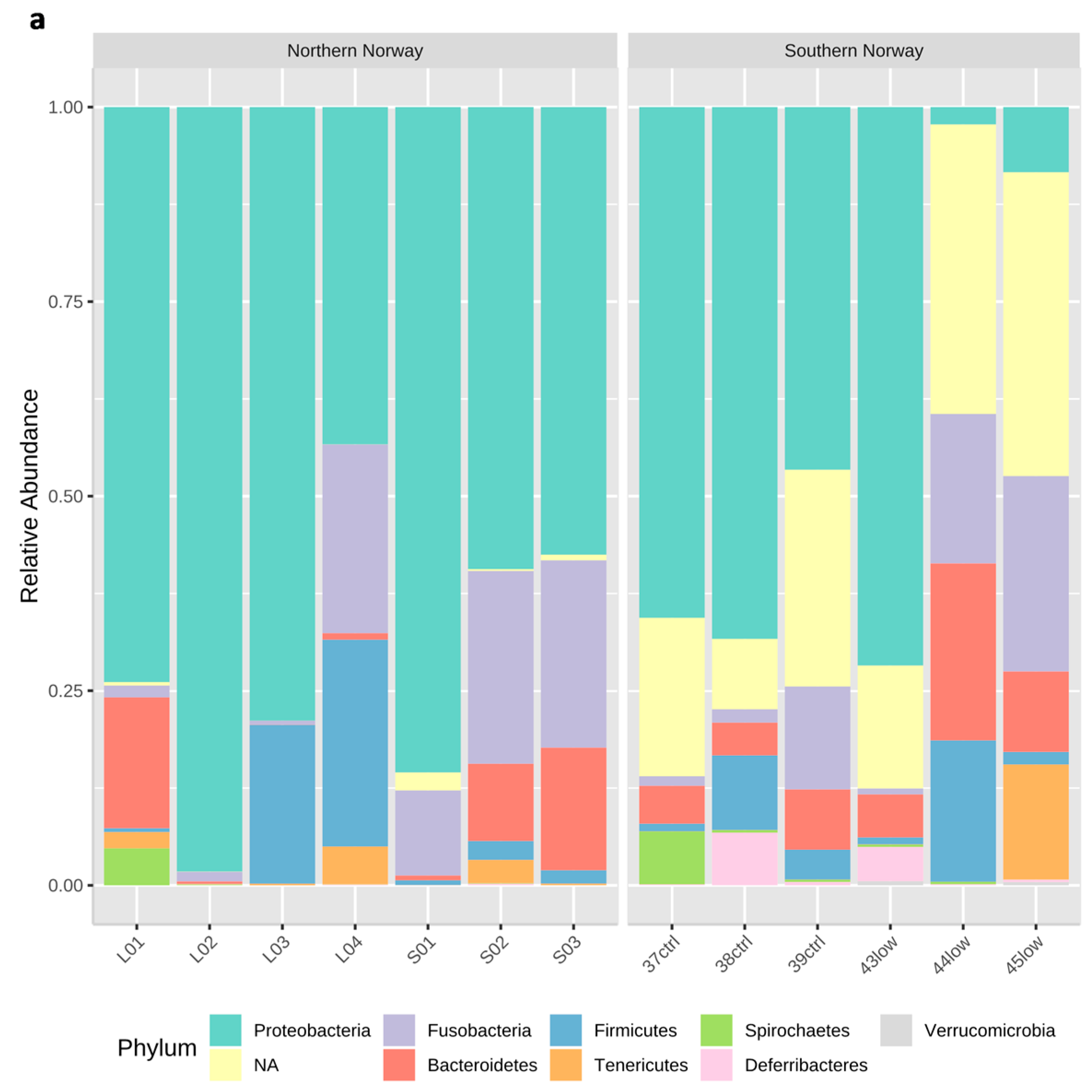 Microorganisms 07 00209 g001a Microorganisms 07 00209 g001a
