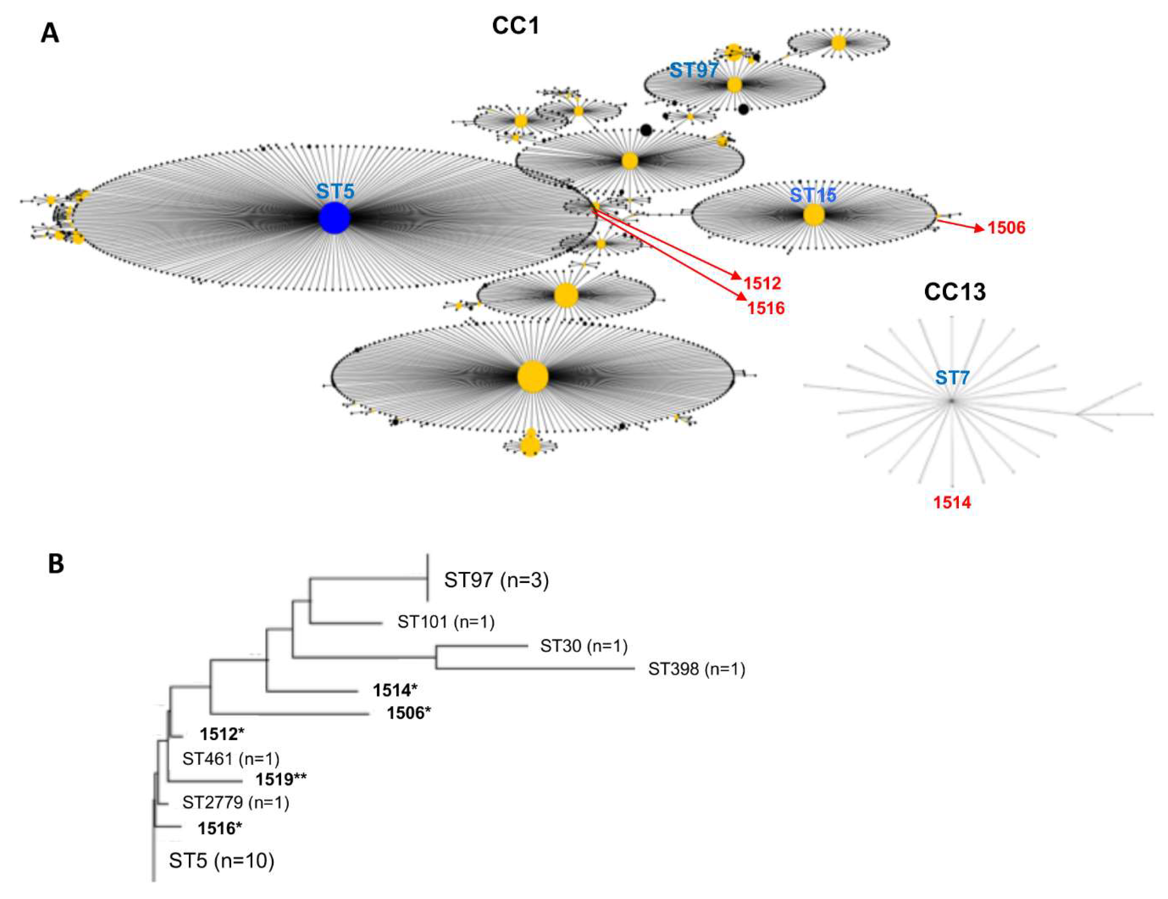 Microorganisms Free Full Text Phylogenetic and Molecular